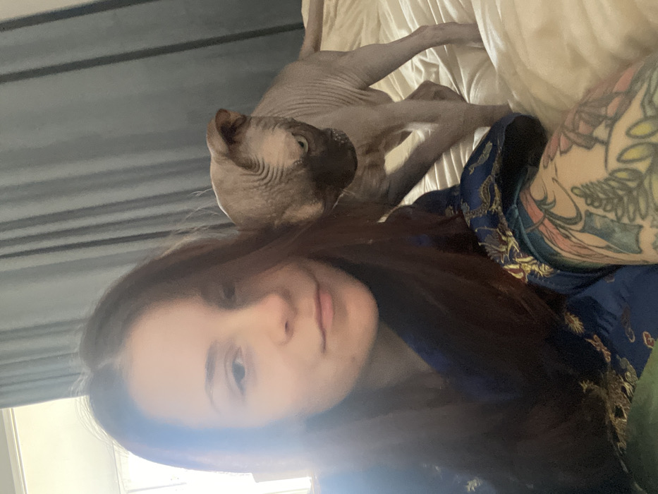 An indoor scene in a residential setting in the city of Unknown, Unknown depicts an adult female and a Sphynx cat. The female, positioned foreground-left, has long, dark brown hair, a neutral facial expression, and is wearing a blue garment with gold patterned details. Her left forearm is visible, displaying extensive colorful tattoos. To her right, a hairless Sphynx cat, light brown with darker facial features, stands on a light-colored, rumpled bed. In the background, grey curtains are visible. A strong light source emanates from the left, creating a lens flare on the female's face.