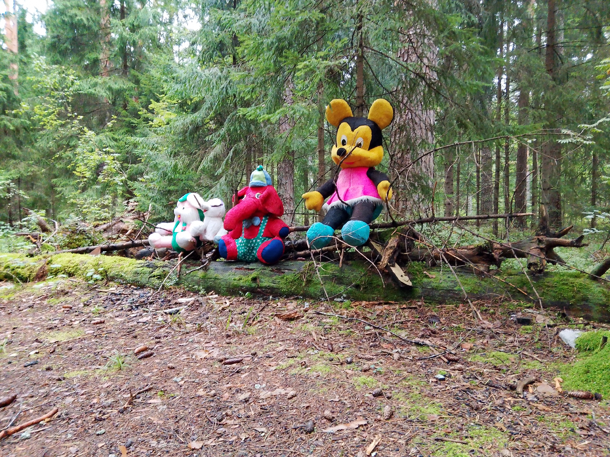 The image depicts a forest floor in Troitsko-Nikol'skoe, Russia, with a fallen, moss-covered log serving as a display for several stuffed toys. The toys include a large yellow and black mouse-like character with a pink vest and blue shoes, a red elephant-like creature with a green and blue patterned body and a blue hat, and two white rabbit-like figures, one with a green and pink striped scarf. The toys are arranged on the log, which is situated amidst pine trees and forest undergrowth. The ground is covered with pine needles, twigs, and scattered pinecones. The overall scene suggests a whimsical, possibly abandoned, arrangement of toys in a natural setting.