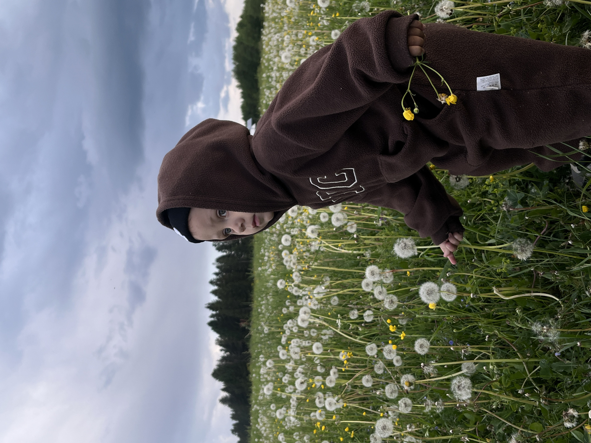 A child wearing a brown hooded fleece jacket stands in a field of dandelions and other wildflowers. The child holds a small bouquet of yellow flowers in one hand and reaches towards a dandelion with the other. The field is bordered by a line of trees in the background. The sky is overcast with dark clouds. The photograph appears to be taken in Фоки, Russia.