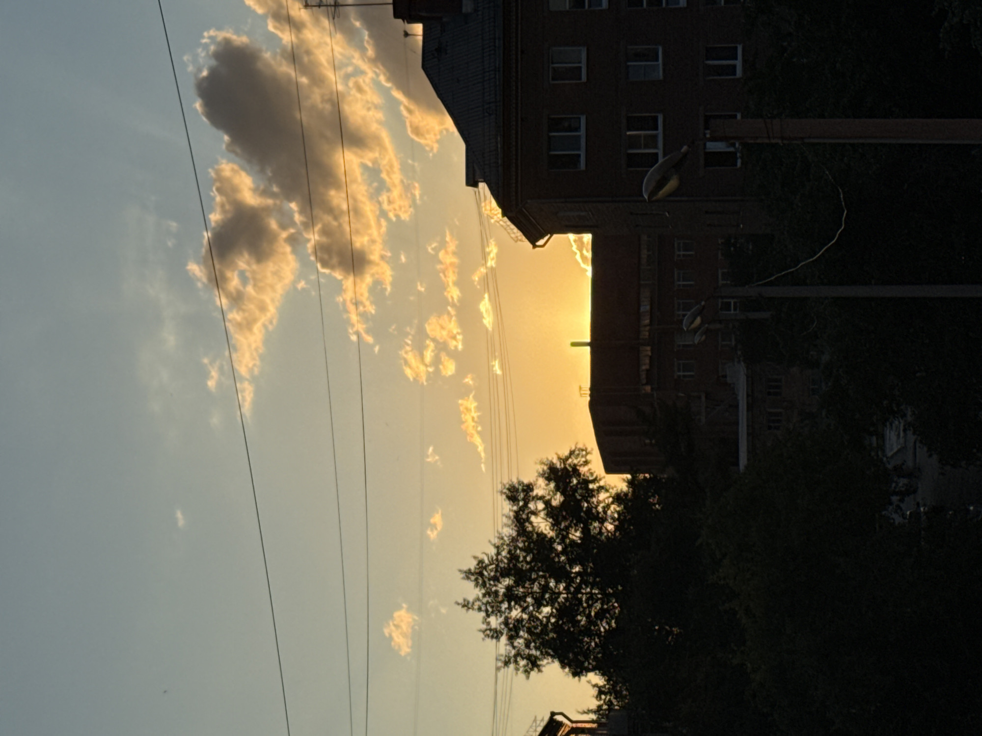 The image depicts a sunset over an urban landscape in Yekaterinburg, Russia. The sky is a gradient of soft blues and yellows, with scattered clouds catching the warm light. Power lines crisscross the upper portion of the frame. In the foreground, silhouetted against the bright sky, is a large tree with dense foliage. To the right, the dark shape of a multi-story brick building with visible windows occupies a significant portion of the scene. In the middle ground, another building, also silhouetted, can be seen. The lower part of the image is dominated by the dark silhouettes of trees and streetlights. One streetlight, prominently positioned in the foreground on the right, has a distinctive curved lamp and is mounted on a pole. The overall impression is one of an urban evening scene, with the natural beauty of the sunset contrasting with the man-made structures.
