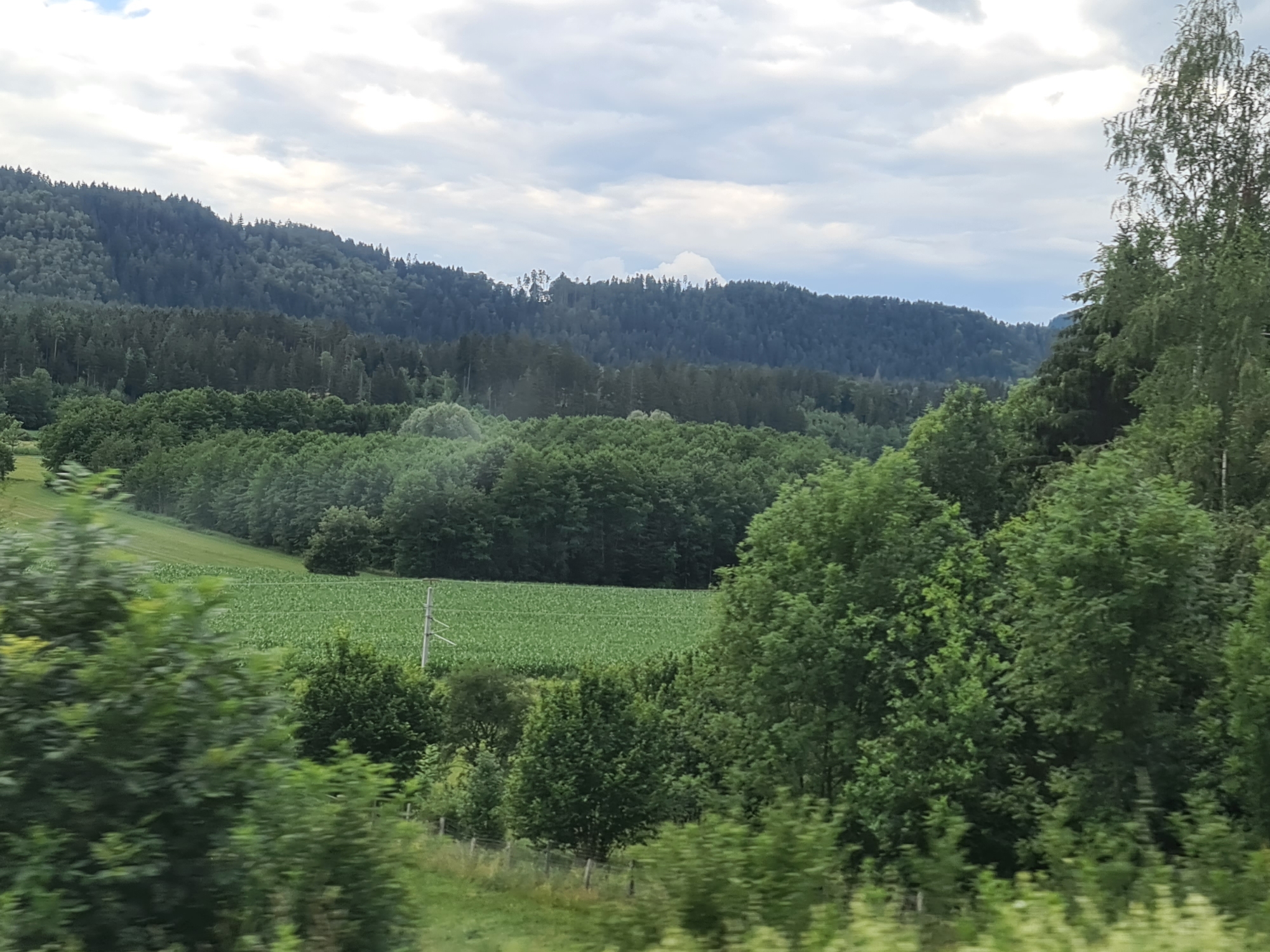 The image shows a view of the Austrian countryside near Tauchendorf. In the foreground, there are blurred green trees and foliage, suggesting movement, possibly from a vehicle. Behind this, a vibrant green field of crops, likely corn, stretches across the middle ground. A solitary utility pole stands in the field. Further in the distance, rolling hills covered in dense, dark green forests rise against a sky with a mix of clouds and hints of blue. The overall impression is of a lush, rural landscape under a cloudy sky.
