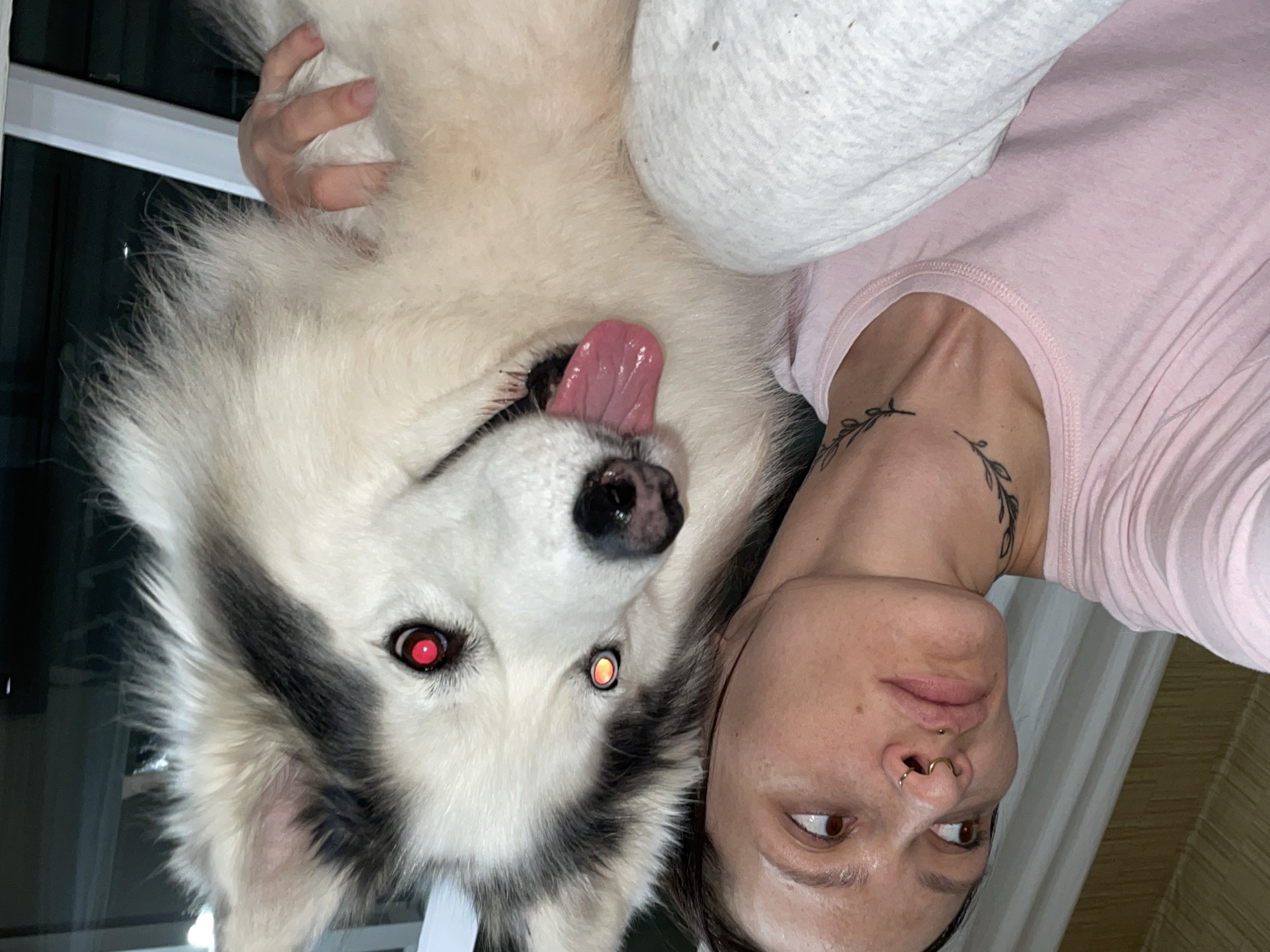 A person is holding a large, fluffy dog upside down. The dog is panting with its tongue out. The person has facial piercings and a tattoo on their neck. The setting appears to be indoors. There is no information to indicate this photo was taken in Izhevsk, Russia.