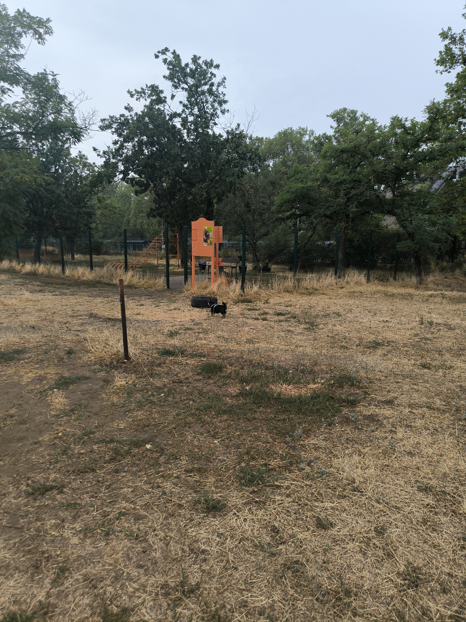 This is an outdoor scene in Mykolaiv, Ukraine, likely a park or a designated area. The ground is covered in dry, yellowish grass and dirt. In the middle ground, there is a black dog standing next to a tire. Further back, a bright orange structure with yellow accents is visible, appearing to be part of a playground or a training apparatus. Behind this structure, a metal fence encloses the area, and beyond that, lush green trees and vegetation are abundant. The sky is overcast and pale.