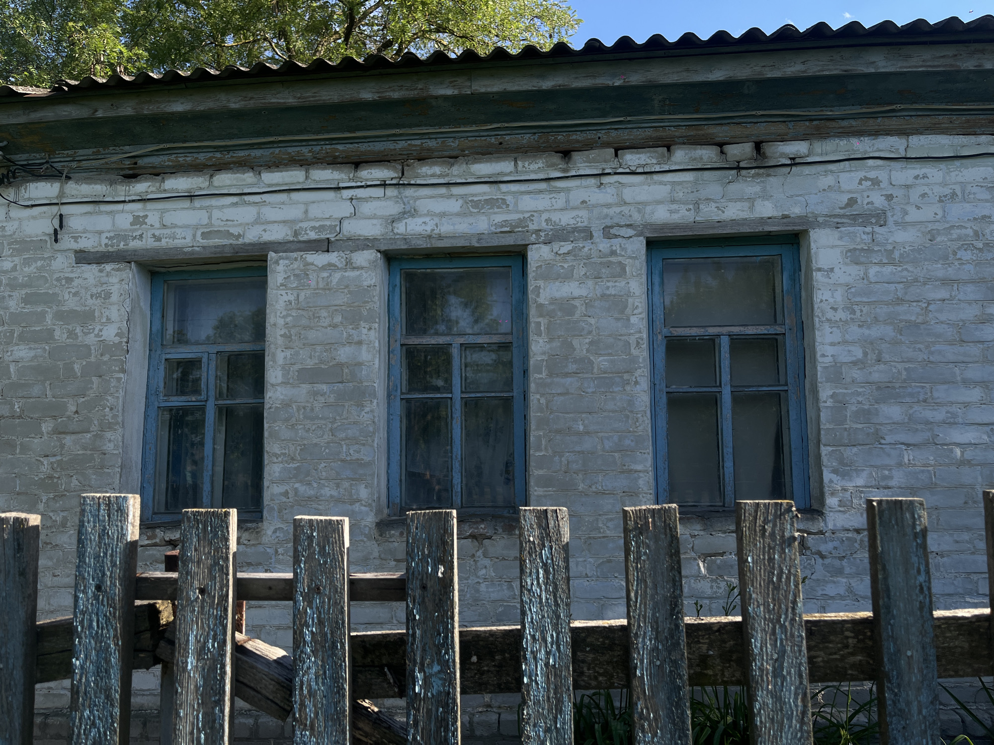 The image displays the weathered facade of an old, single-story brick building in Novopokrovskaya, Russia, partially obscured by a wooden picket fence in the foreground. The building's exterior is constructed of light-colored bricks, heavily distressed with peeling white paint that reveals darker gray-brown undertones and mortar. Multiple vertical cracks are visible in the brickwork, particularly above and adjacent to the window frames.
Three rectangular windows are present, each featuring a multi-pane design with light blue/turquoise painted wooden frames, also showing significant signs of wear and paint loss. The windowpanes reflect the bright blue sky and green tree foliage. Above the windows, black electrical wires are affixed to the brick wall, running horizontally, with some sections appearing loose or unsupported.
The roof of the building is dark, corrugated material, likely asbestos cement or metal, with a distinct wavy profile. Below the roofline, a dark green/teal painted wooden fascia board is visible, exhibiting chipping and peeling paint, beneath which a lighter, unpainted wooden board is present.
In the immediate foreground, a wooden picket fence stands. The pickets are rough, aged wood with extensive remnants of chipped and flaking light blue/turquoise paint, matching the color of the window frames. The fence appears structurally compromised in some areas. Green vegetation, likely grass or weeds, is visible at the base of the fence. The scene is illuminated by natural sunlight, casting defined shadows. No people or active interactions are depicted.