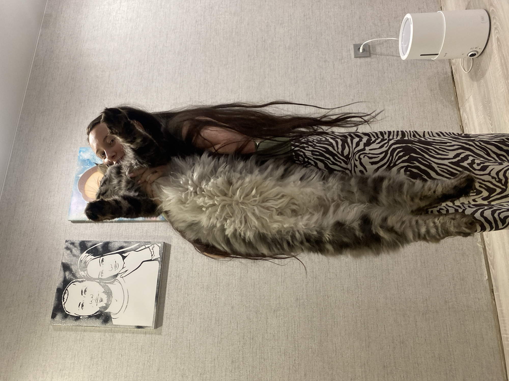 A woman with long brown hair is lying down, holding a large gray and black fluffy cat. She is wearing a green top and a zebra-striped skirt or blanket. The room has gray wallpaper and a wooden floor. On the wall behind them are two pictures. One shows a couple in black and white, while the other is a colored abstract art piece. A white humidifier is plugged into the wall outlet. The location is the city of Chaikovsky, Russia.
