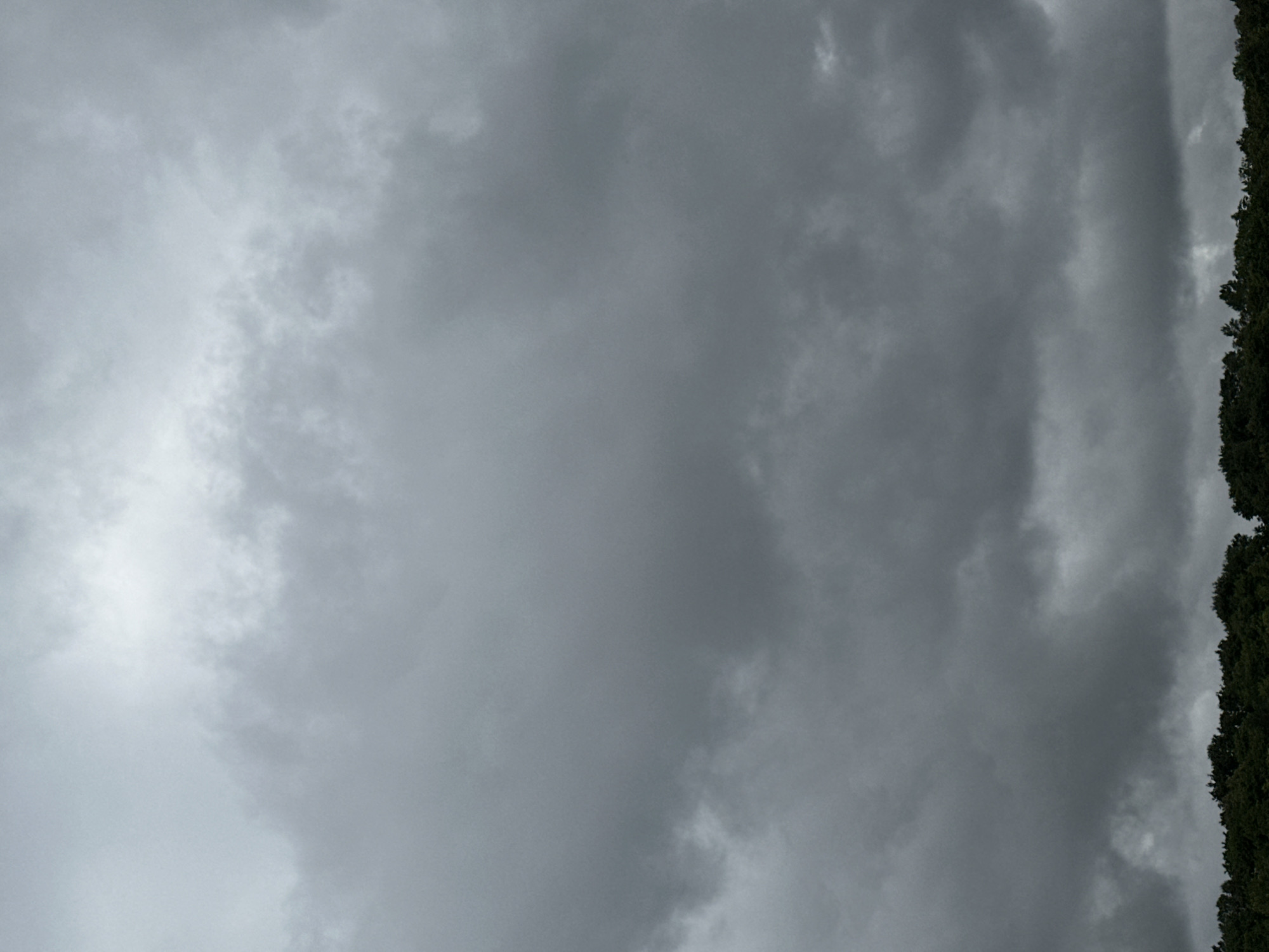 The image shows a cloudy sky over a line of trees. The clouds are dark and heavy, suggesting an overcast or stormy day. The trees appear to be deciduous and form a dense, green canopy along the horizon. The scene is devoid of any human activity or man-made structures, focusing solely on the natural elements of the sky and foliage. The location of Makiv, Ukraine, is mentioned as context, but there are no visual cues in the image to confirm or deny this specific location.