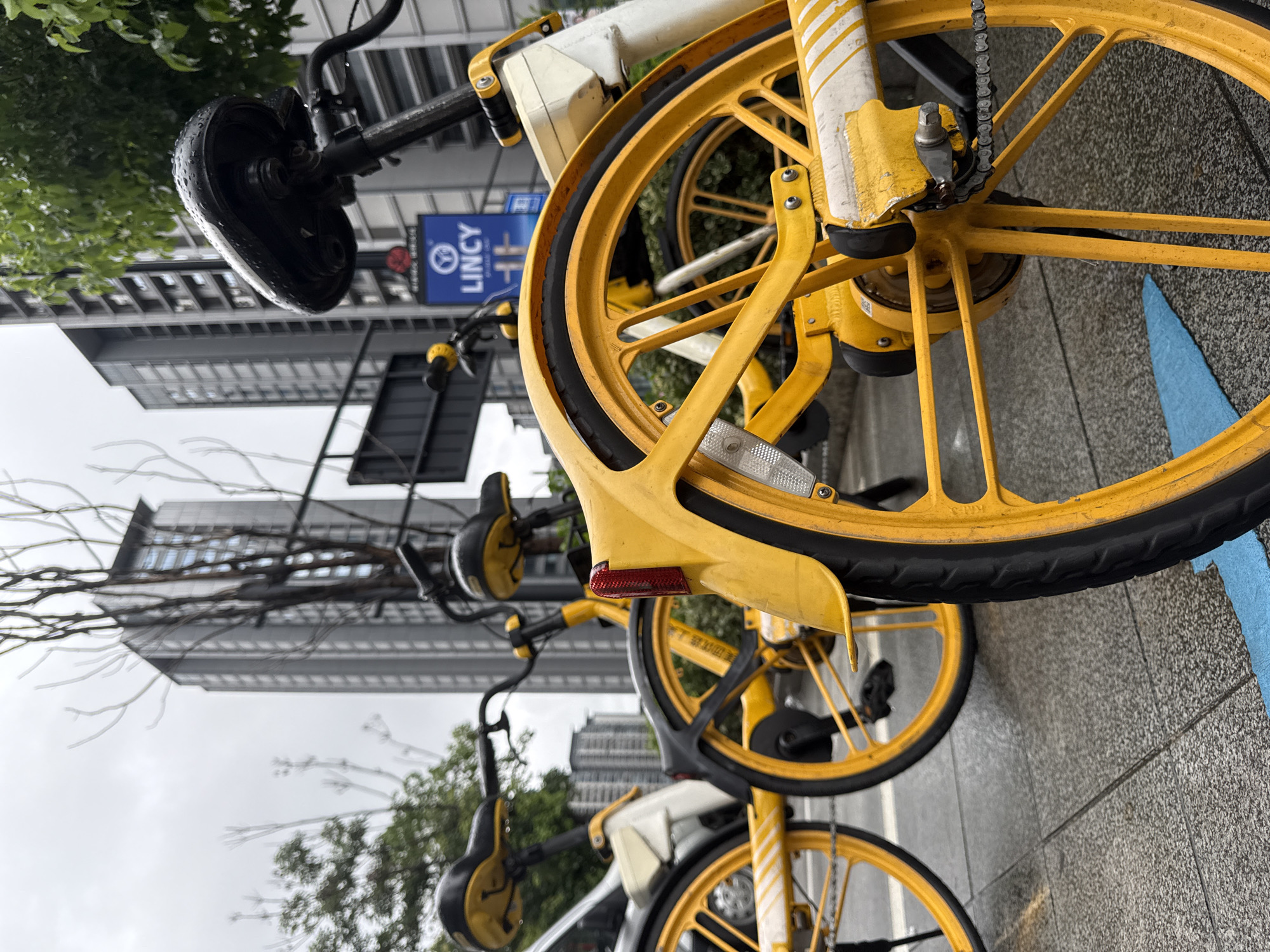 The image depicts a close-up view of several shared bicycles, predominantly yellow and white, parked on a wet sidewalk. The bicycles are the central focus, with their bright yellow rims and frames contrasting against the overcast sky. In the background, modern high-rise buildings are visible, suggesting an urban environment. A blue sign with the word "LINCY" and a symbol is also present, likely indicating a bicycle sharing service. The ground appears damp, with what looks like rain drops on the bicycle seats, suggesting it may have recently rained or is currently raining. The scene is set in the city of Yiwu, China, a major hub for international trade and commerce.
