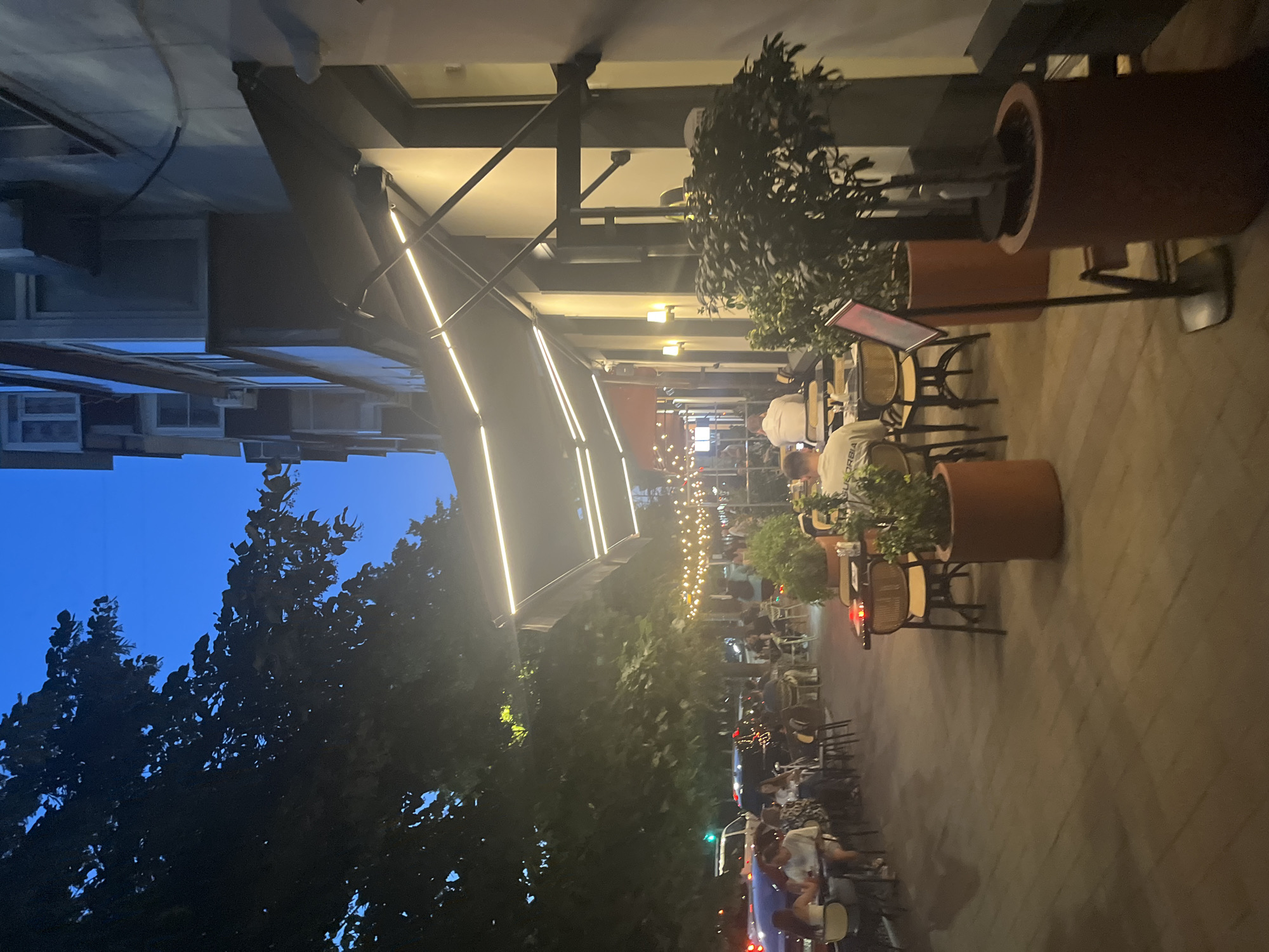 The image depicts an outdoor seating area of a restaurant or cafe at dusk. The scene is viewed from a low angle, looking upwards, and is oriented sideways. A row of tables and chairs are set up on a paved walkway, extending into the background. String lights illuminate the area, creating a festive atmosphere.
Several people are seated at the tables, appearing to be dining or socializing. They are largely indistinct, but some individuals are wearing white shirts. Large potted plants, one with dark foliage and another with lighter green leaves, are placed between tables and near the entrance. In the foreground, a dark tree with dense foliage is silhouetted against a clear blue sky, suggesting it is evening. The building facade is visible in the background, featuring windows and an awning with integrated lighting.
A sign on an easel with a red menu holder is visible near one of the tables. Part of a vehicle, likely a car, is also present in the lower portion of the image, with its headlights or taillights visible, further confirming it is dusk. The overall mood is relaxed and inviting, suitable for an evening out. No legible text is clearly identifiable within the image. The setting appears to be an urban environment, given the building and paved walkway.