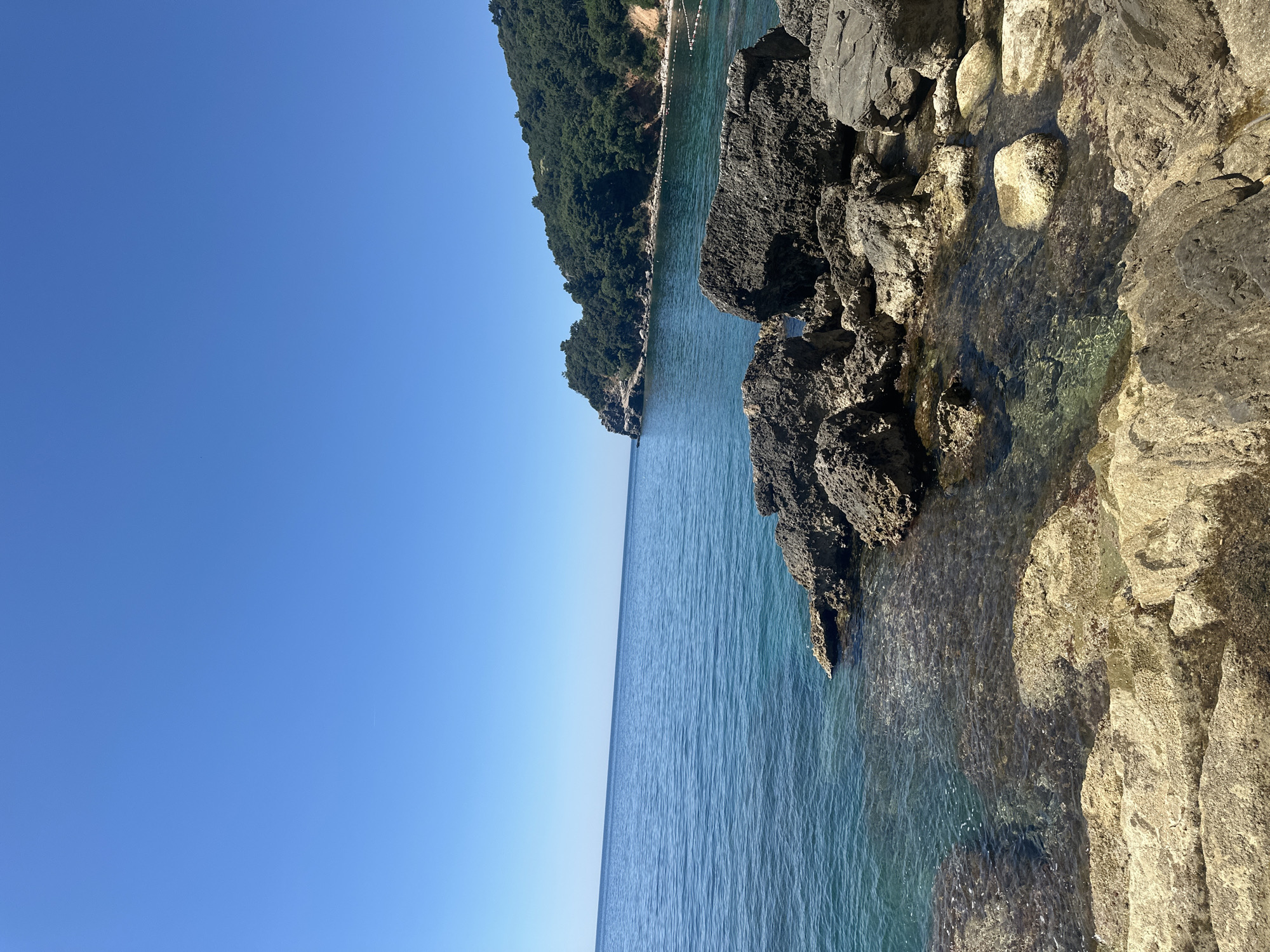 The image presents a coastal scene in Budva, Montenegro. The focus is on a rocky shoreline with dark, volcanic-looking rocks on the right side of the frame, gradually transitioning to lighter, porous rocks closer to the water. The water is clear and blue, with visible underwater rock formations. In the distance, a heavily forested headland juts out into the water, creating a sense of depth. The sky is a clear, light blue, taking up a significant portion of the left side of the image. There are no people visible in the scene.