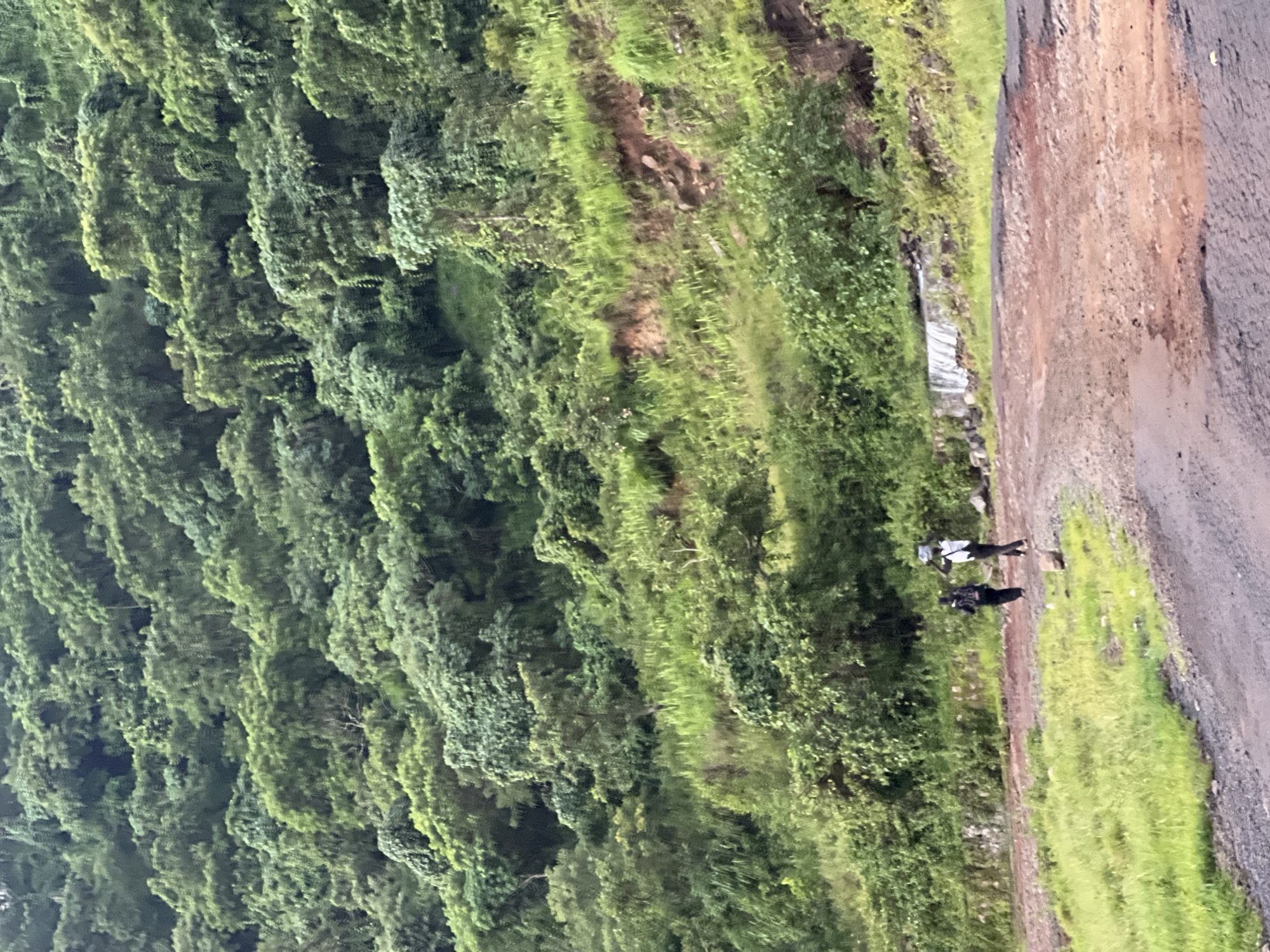 Two individuals are walking on a dirt road in a mountainous, lush green environment. The person on the left is wearing a dark outfit and carrying something on their head. The person on the right is wearing a white top and dark pants, also carrying an object on their head. The road is a mix of dirt and gravel, with some patches of grass on either side. The background is dominated by a dense, green hillside covered in trees and vegetation. A small waterfall or water feature is visible in the middle ground, flowing over rocks. The scene appears to be in Wuro Gole, Nigeria, given the context.