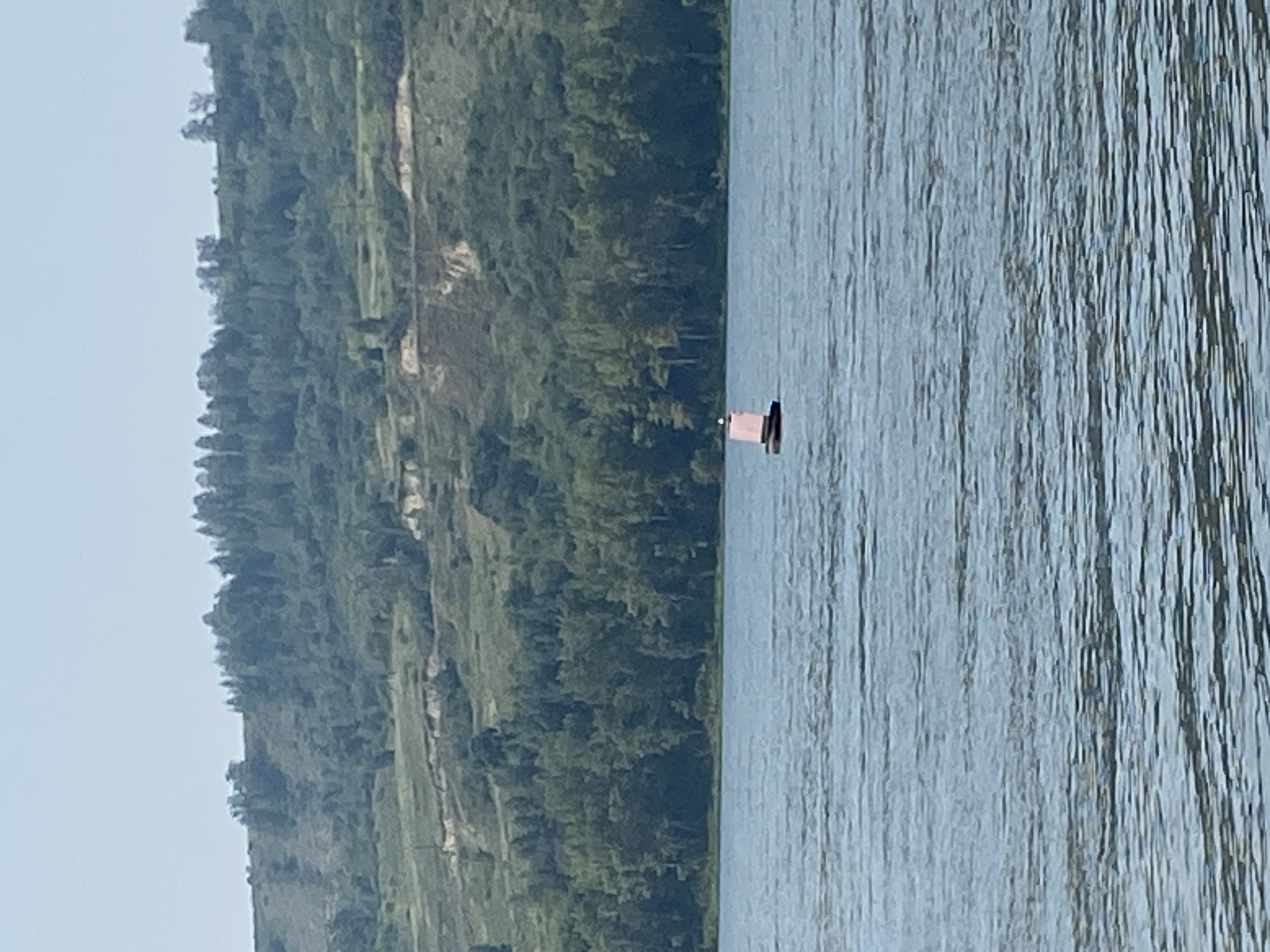A red and black buoy floats on a body of water. Behind the water is a tree-lined hillside. The sky is a light blue.
