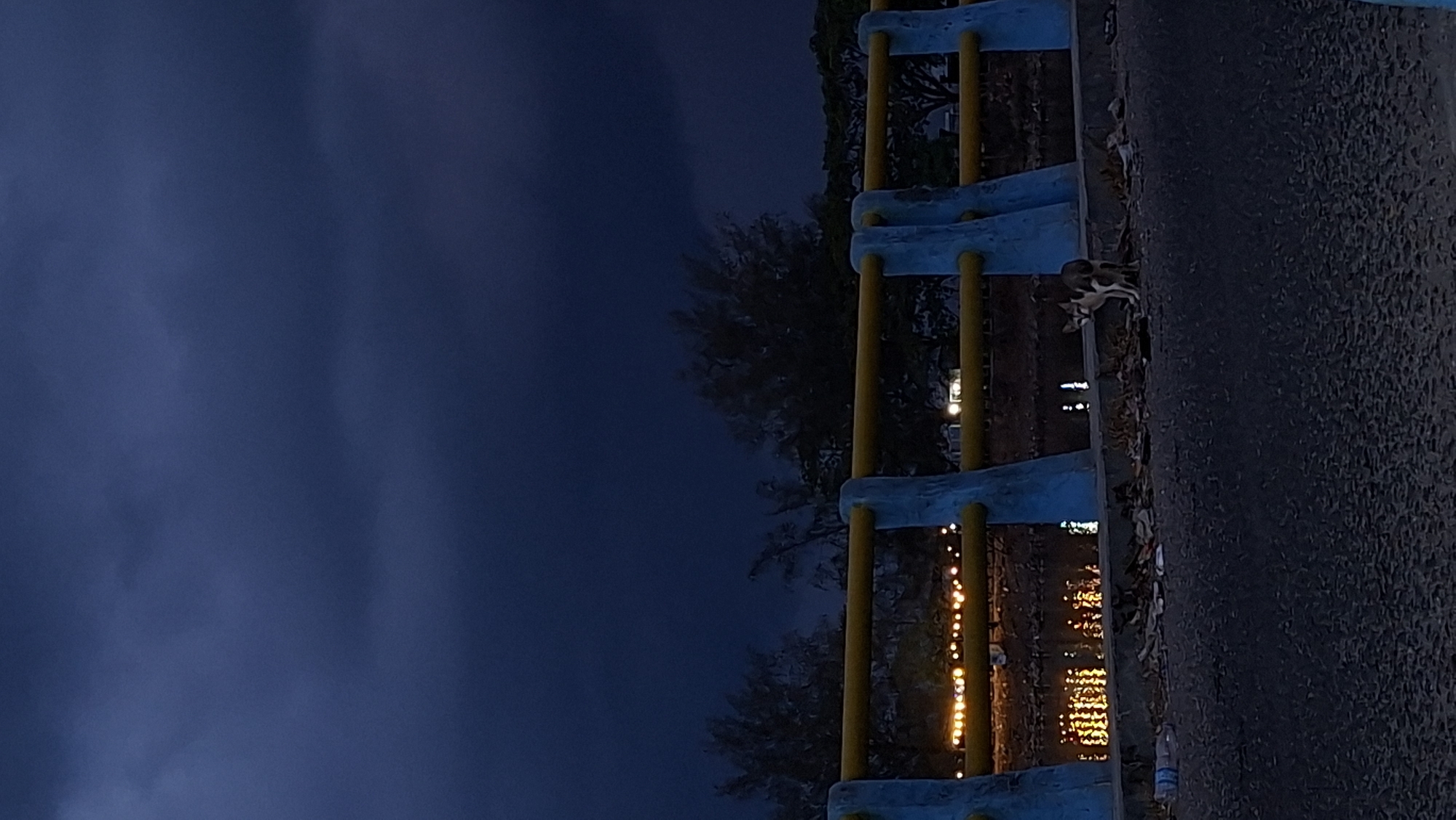 The image captures a scene at dusk near a body of water, possibly a canal or river, in Lhokseumawe, Indonesia. The sky is dark with heavy, ominous clouds. In the foreground, a paved road or walkway runs horizontally. A low wall or barrier separates the walkway from the water, topped by a railing with yellow horizontal bars supported by blue posts. The railing appears to be part of a bridge or elevated walkway.
Along the edge of the water, there are reflections of lights, suggesting buildings or streetlights on the opposite bank. Scattered debris, including leaves and plastic bottles, is visible on the walkway near the barrier.
A medium-sized dog, predominantly white with brown markings, stands on the walkway facing the camera. Its posture suggests alertness or slight apprehension. The dog is positioned slightly to the right of the frame's center. The overall atmosphere is somber and quiet, with the dark sky and the presence of the lone dog contributing to a sense of isolation or impending weather.