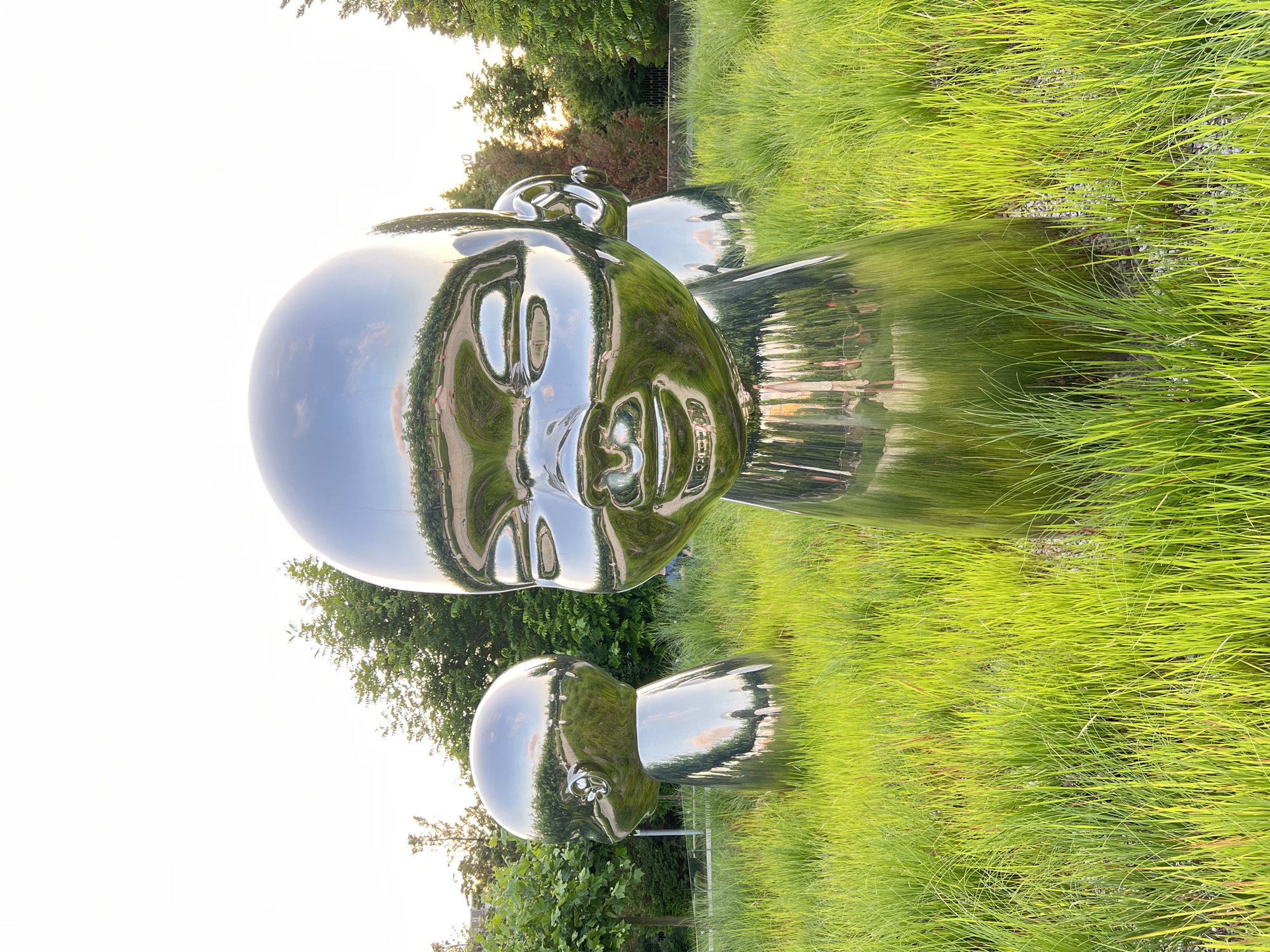 The image shows a large, reflective sculpture of a baby's head in a park setting. The sculpture is made of a polished, metallic material, likely stainless steel, and has a highly reflective surface that mirrors the surrounding environment. The scene appears to be outdoors, with lush green grass and trees visible. The sculpture is positioned in a way that it appears to be lying down, with the head facing the viewer.
In the background, trees and the sky are reflected on the sculpture's surface. The sky is bright, suggesting it is daytime, possibly late afternoon or early morning due to the soft lighting. The grass is vibrant green, indicating a healthy, well-maintained park. The reflection on the sculpture captures glimpses of what appears to be a pathway or paved area and more greenery, suggesting the sculpture is situated in a public garden or park.
There is also a smaller, similar sculpture of a baby's head visible in the foreground, slightly lower and to the left of the main sculpture. This smaller sculpture also reflects its surroundings, albeit with a less detailed view due to its size and position.
The overall impression is one of modern art in a natural, serene environment. The reflective quality of the sculptures creates an interesting interplay between the artwork and its surroundings, inviting the viewer to observe the reflections and the context in which the sculptures are placed. There are no discernible emotions expressed by the sculptures themselves, as they are abstract representations, but the serene setting and gentle subject matter evoke a sense of peace and tranquility. No visible text is present in the image.