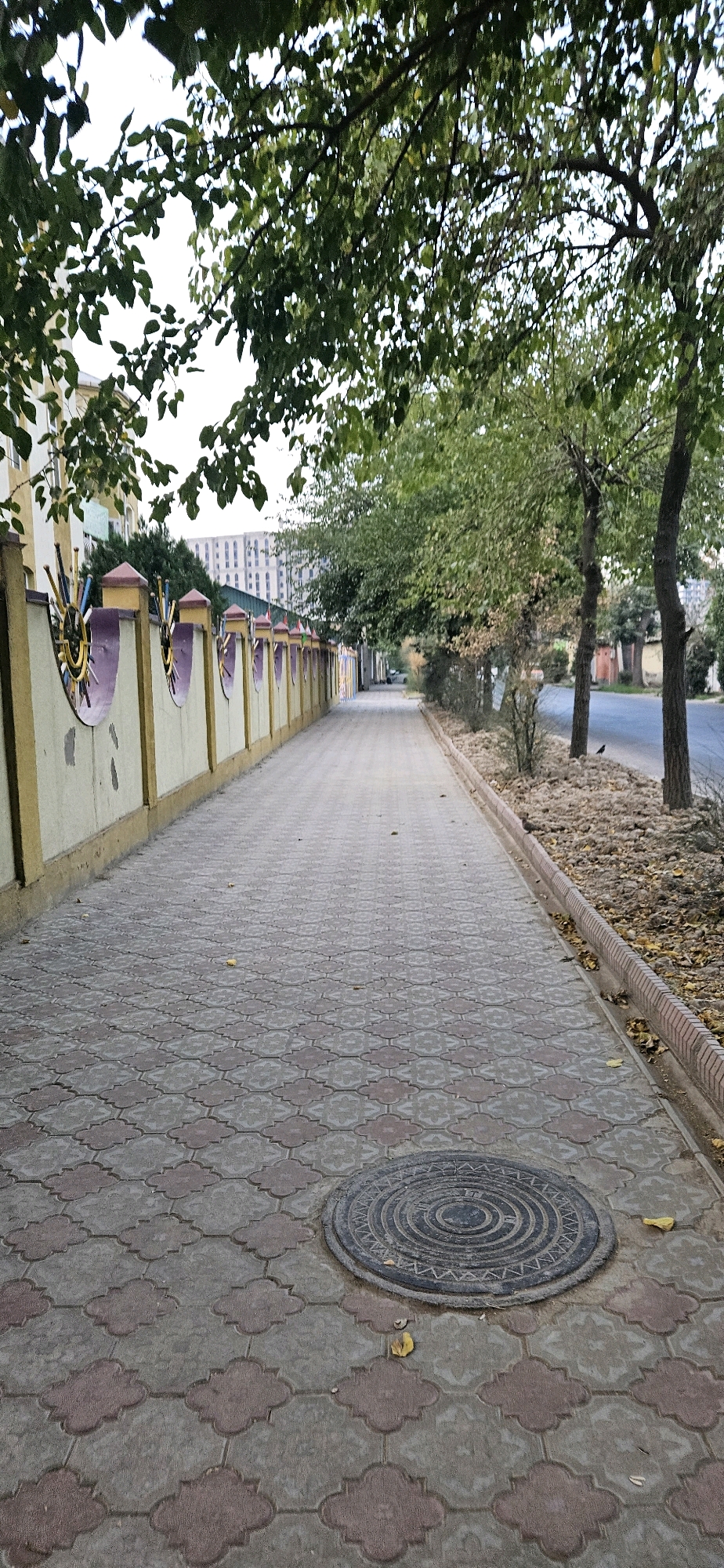 This is a vertical, eye-level shot of a paved sidewalk leading away from the camera into the distance. The sidewalk is constructed with interlocking concrete pavers arranged in a geometric pattern of grey and reddish-brown. A circular, dark grey manhole cover is embedded in the paving stones in the foreground. To the left of the sidewalk is a decorative wall with a light cream-colored base, topped with a purple and yellow trim and colorful, pointed metal decorations. Behind the wall, the upper floors of a light-colored building with many windows are visible. Overhead, the branches of leafy green trees partially obscure the sky, which is overcast. To the right of the sidewalk, there is a strip of bare ground covered with small stones and scattered dry leaves, followed by a two-lane road. Several trees with dark trunks and sparse green foliage line the road. In the distance, along the road, a few indistinct vehicles and buildings are visible. A small black bird stands on the stony ground near the road. The overall scene suggests a street or pathway in a city, likely a residential or public area, possibly in Dushanbe, Tajikistan given the architectural style of the building and fence.