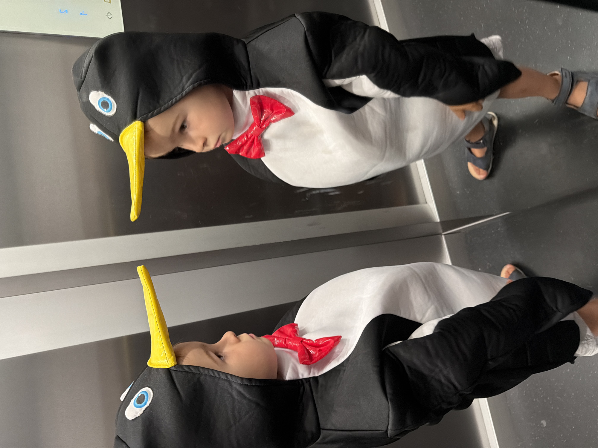 A small child, dressed in a penguin costume with a black hood, white body, and red bow tie, is seen standing in an elevator in Budva, Montenegro. The costume includes a yellow beak attached to the hood. The child is wearing sandals. The elevator has metallic walls, and a reflection of the child in the costume can be seen.