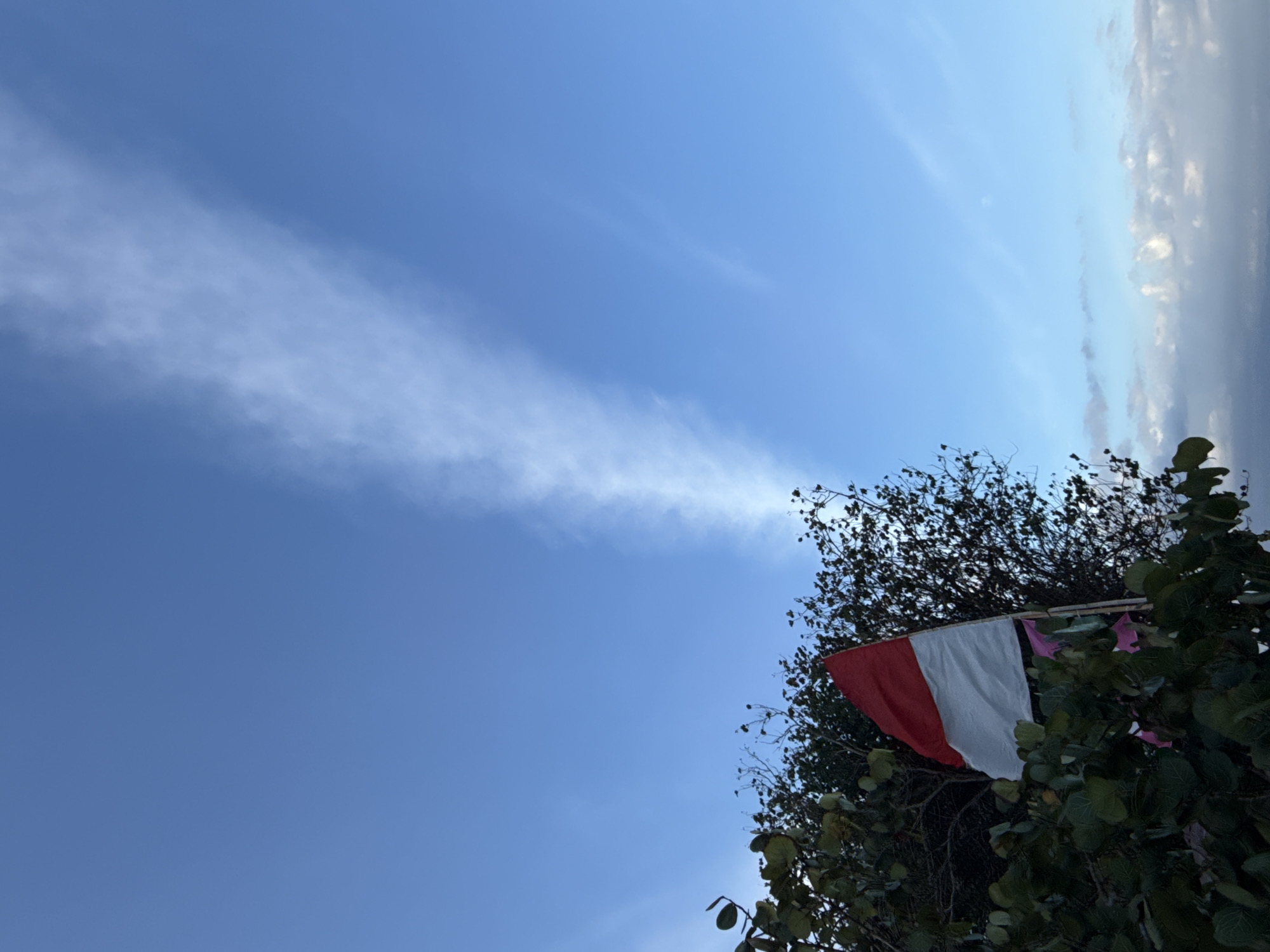 The image shows the Indonesian flag, red and white, partially obscured by green foliage, on a clear blue sky. A wispy cloud formation stretches diagonally across the sky from the top left to the bottom right. The foreground is dominated by lush green leaves and branches of trees, with a hint of pink fabric visible behind the flag. The flag appears to be mounted on a pole. The scene is likely outdoors, with the sky suggesting it is daytime, possibly late afternoon or early morning given the light. The location is identified as Denpasar, Indonesia, which is the capital city of Bali, a popular tourist destination known for its natural beauty and cultural heritage.