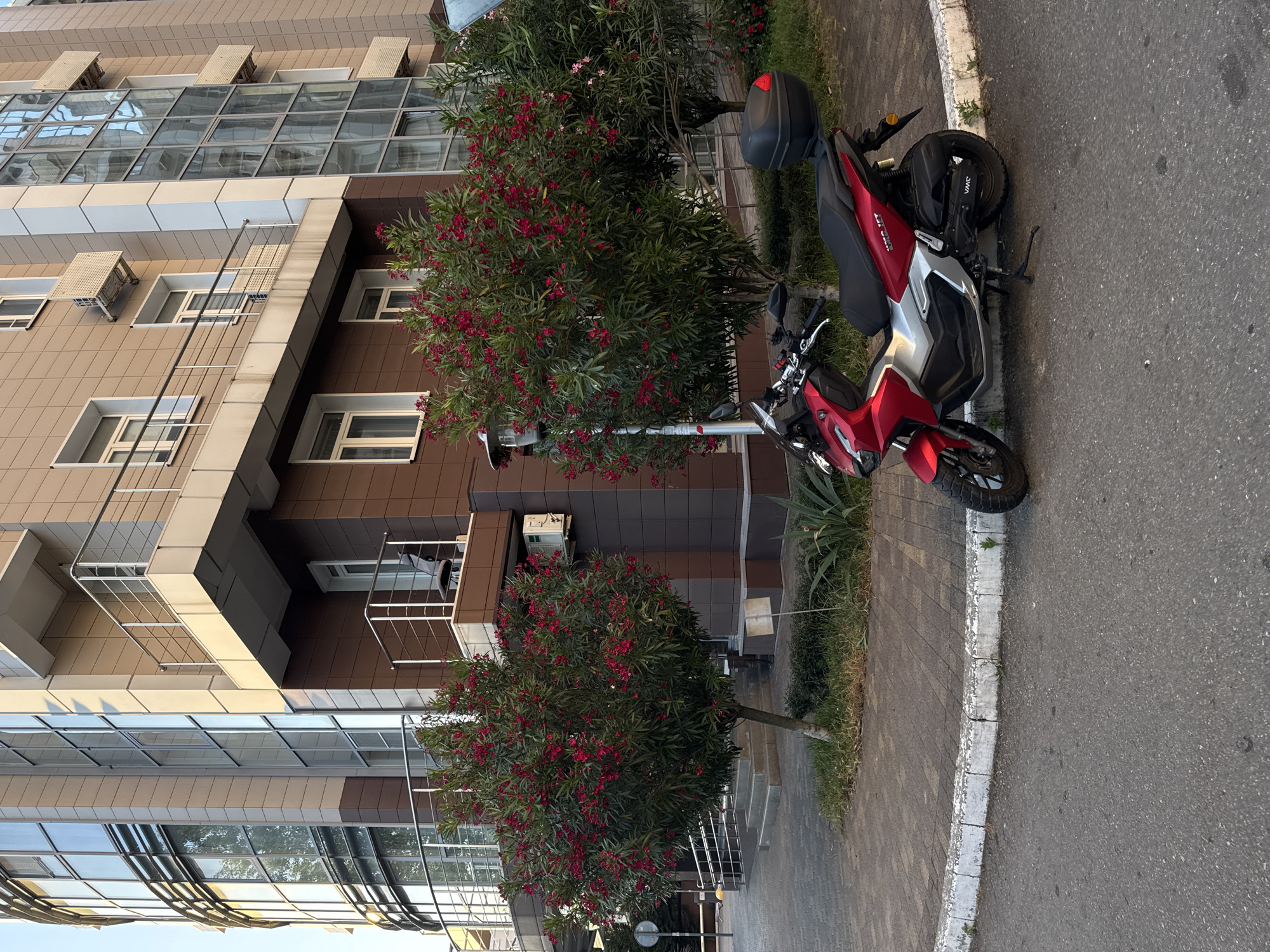 A red and silver scooter is parked on the side of a paved road, next to a sidewalk lined with greenery. In the background, a modern building with large glass windows and balconies stands tall. Two blooming trees with vibrant pink flowers are situated between the building and the sidewalk. The scene appears to be in a residential area, possibly an apartment complex. The sunlight suggests it is daytime, likely late afternoon given the warm light and shadows. There are no people visible in the image. The scooter has a black storage box on the back. The building features a combination of brown and beige facade elements.