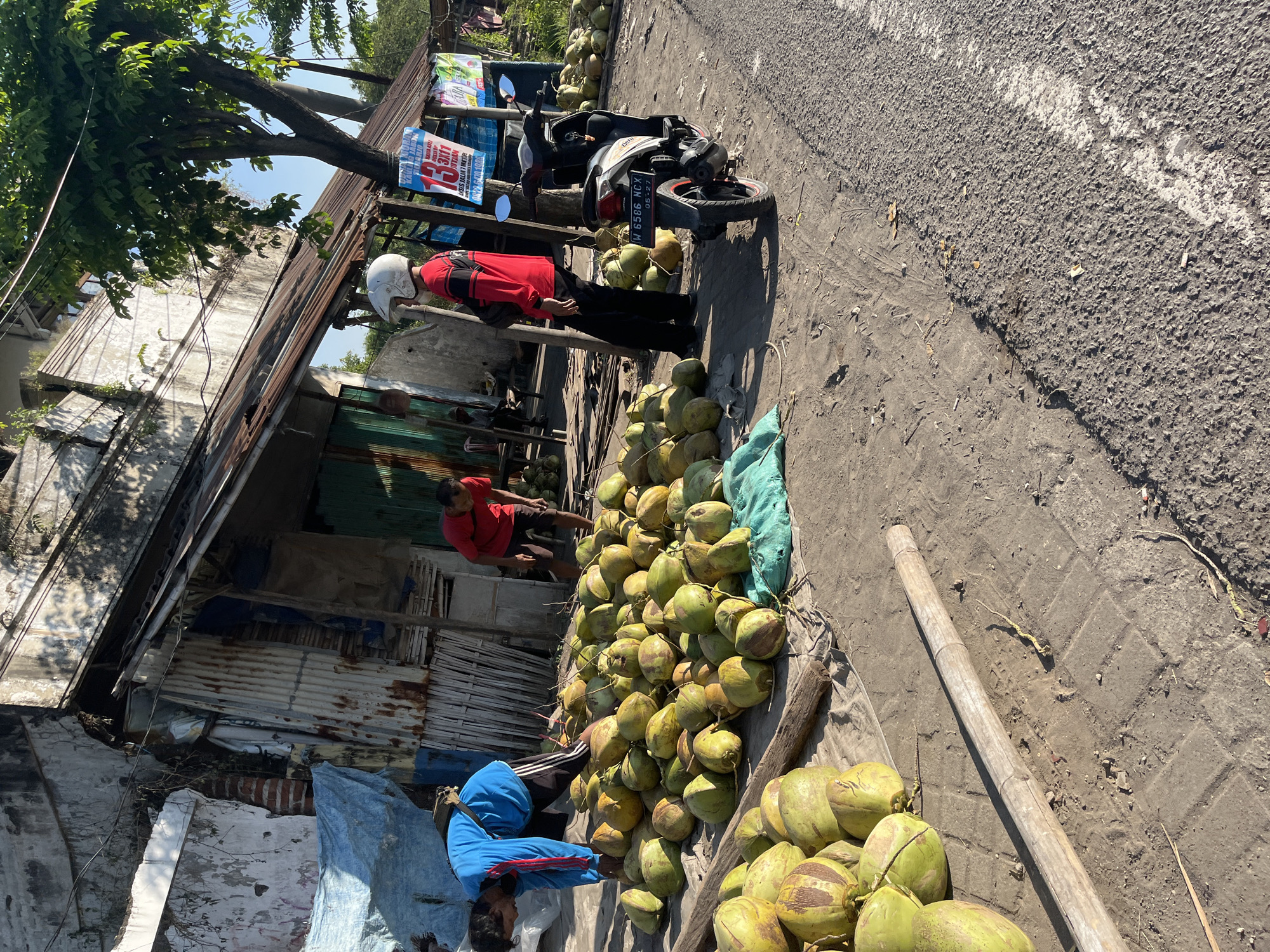 At a roadside market in Siring, Indonesia, a man in a blue shirt bends over a large pile of coconuts. Another man in a red shirt stands nearby, looking towards the coconuts. A motorcycle is parked to the right of the scene, and a simple stall with a corrugated metal roof is visible in the background. The ground is dirt and asphalt, with some dry vegetation scattered around. The area appears to be outdoors under a clear sky, with sunlight casting shadows.
