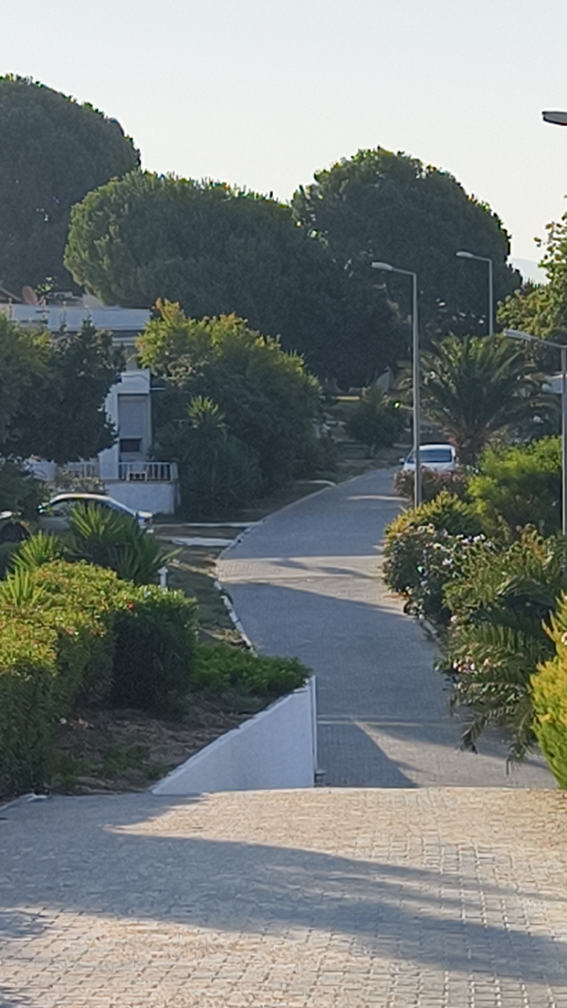 The image shows a paved pathway curving through a verdant landscape with lush trees and manicured bushes, suggesting a residential or resort area. Two white cars are visible on the pathway, one parked near a building and the other further down the road. Streetlights line the path, indicating it's a developed area. The setting appears tranquil, bathed in soft sunlight, and the vegetation suggests a warm climate. The architecture of the building hints at a Mediterranean or similar style. The overall impression is one of a well-maintained, upscale outdoor space in a warm, sunny location.