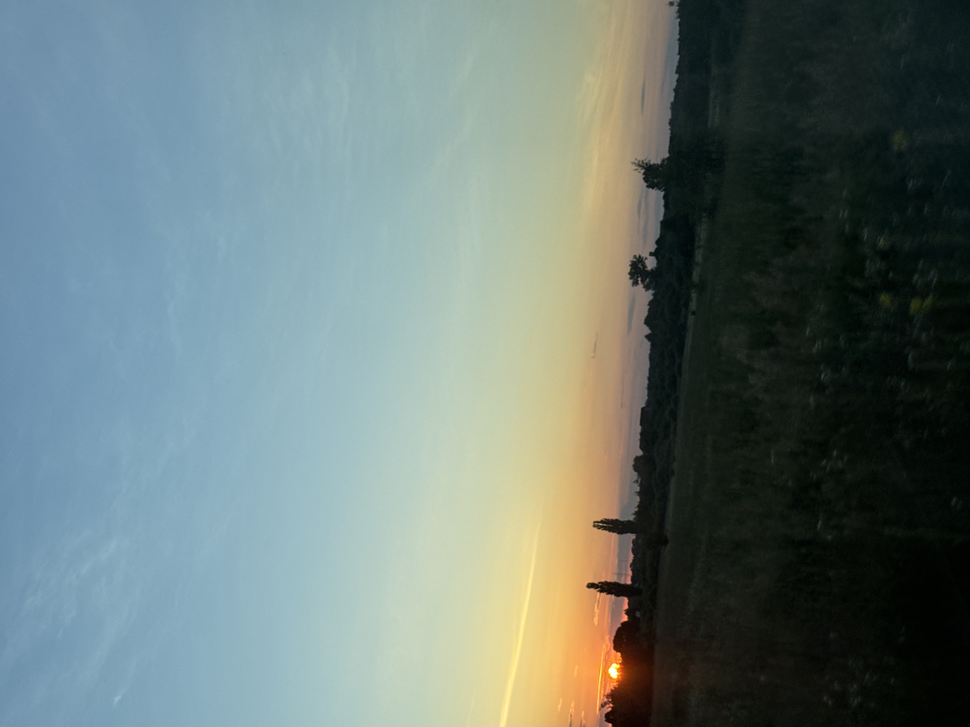 This photograph captures a sunset over a rural landscape, possibly near the village of Dovhe, Ukraine. The sky transitions from a pale blue at the top to a warm gradient of yellow and orange near the horizon. Silhouetted against the sky are trees and vegetation forming a dark line across the middle ground. Two tall, slender trees stand prominently in the center left of the frame. The foreground is a dark, out-of-focus field, possibly with some sparse white flowers visible. The sun, a bright orange disc, is partially obscured by trees on the far left, casting a warm glow. The scene is tranquil and devoid of any human presence or activity.