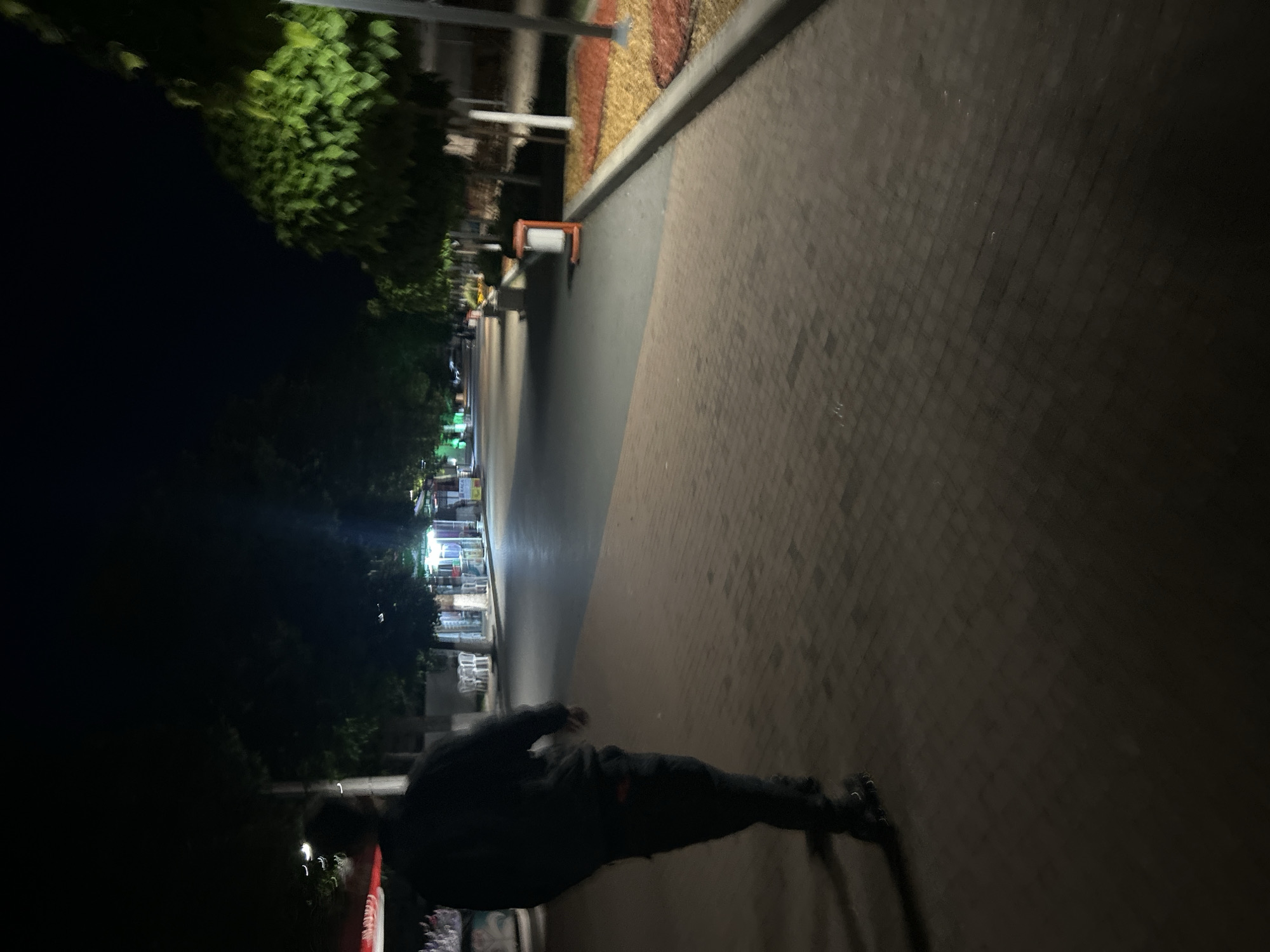 The image depicts a nighttime scene in Dzhebel, Bulgaria, showing a paved pedestrian pathway adjacent to a street lined with trees and small commercial establishments. In the immediate foreground, facing away from the camera, a person dressed in dark clothing (hoodie/jacket and pants) is walking on the dark reddish-brown rectangular block paving. Distinct shapes on their feet suggest footwear beyond typical shoes, possibly rollerblades or skates.
To the right of the pedestrian path, a curb separates it from a narrow strip of landscaping featuring decorative red and yellow mulch around the base of young trees. An orange trash receptacle is positioned within this landscaped area. Further along the street, trees with green foliage are visible, illuminated by artificial light sources.
Across the street from the pedestrian path, various small businesses or stalls are illuminated with different colored artificial lights, including green and white/blue. White plastic chairs are arranged outside one of these establishments. The sky above is dark, indicating night. The overall scene is characterized by artificial lighting and a sense of depth along the pathway and street.