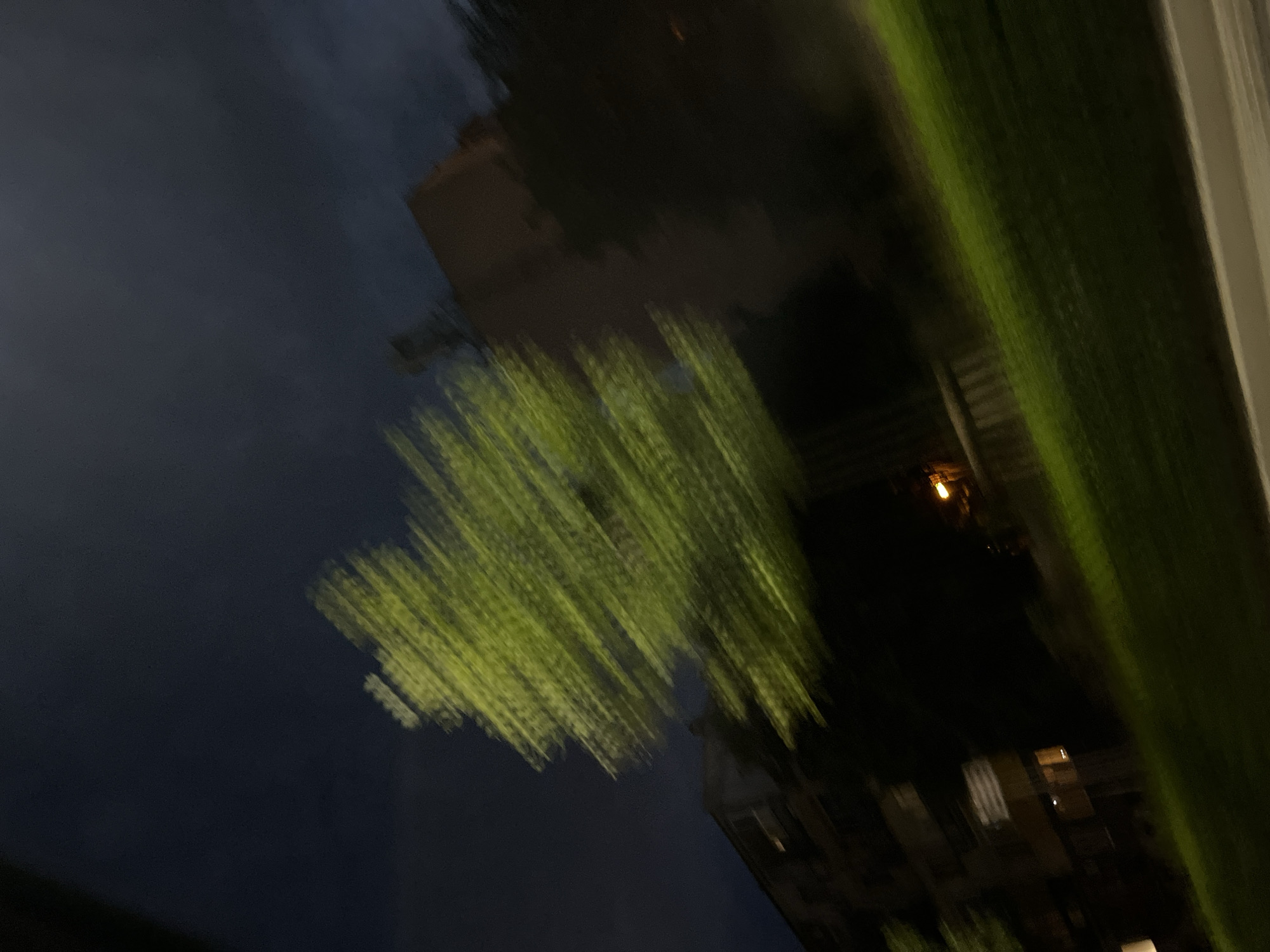 The image captures a blurry, nighttime scene in an urban environment, likely Plovdiv, Bulgaria, due to the motion blur suggesting movement. The dominant feature is a brightly lit green tree, blurred horizontally, indicating it was either moving rapidly or the camera was in motion. Behind the tree, a multi-story building with illuminated windows is visible. Further to the right, another building, possibly an apartment block, is seen. A patch of green grass slopes diagonally across the foreground, also affected by motion blur. A streetlamp or light fixture emits a warm glow in the mid-ground. The sky is dark, with hints of clouds. The overall impression is that of a candid snapshot taken from a moving vehicle at night.