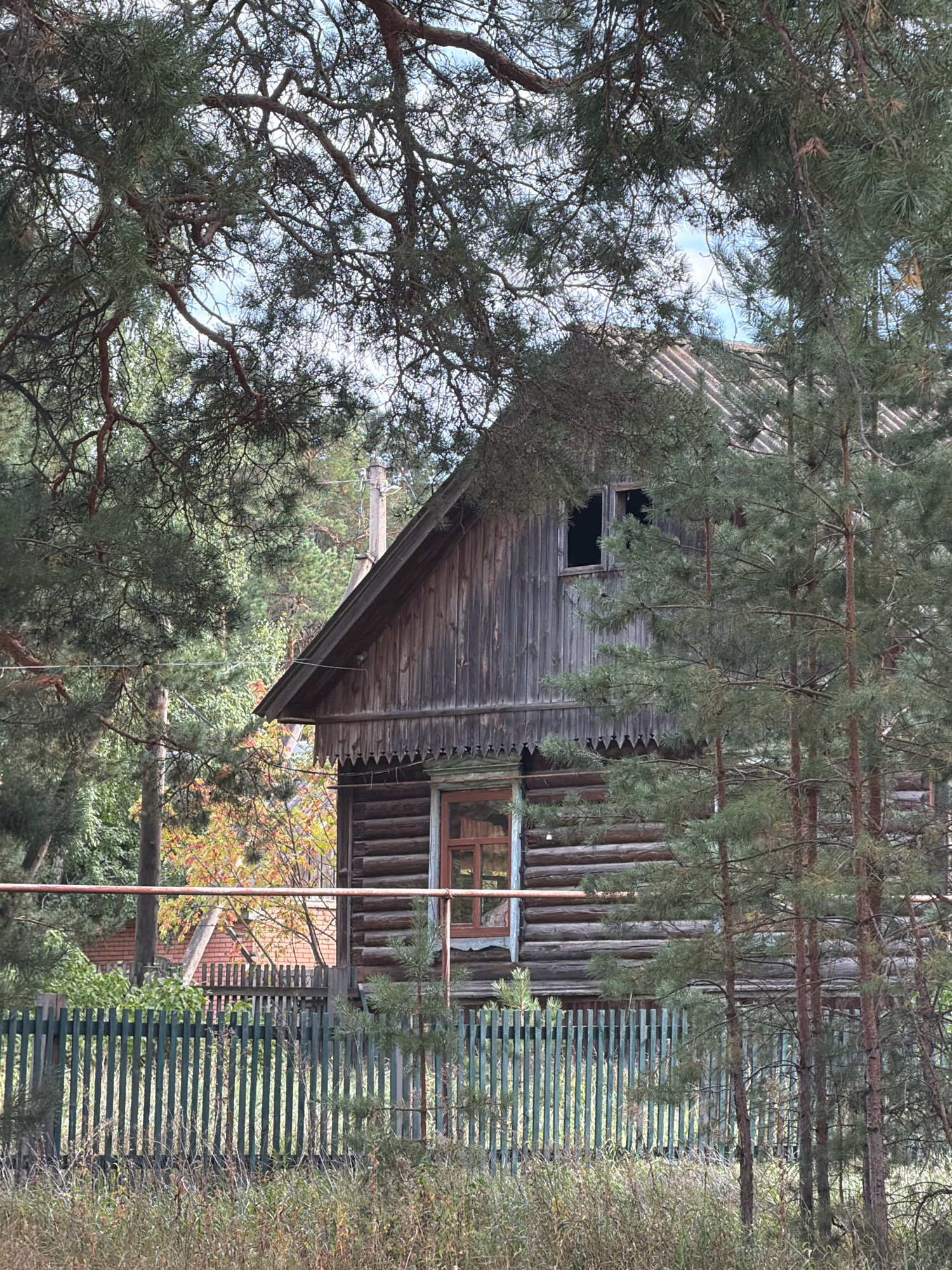 An outdoor, medium shot captures a weathered, wooden log cabin framed by pine trees and branches. The cabin, with a steeply pitched roof and a visible chimney, exhibits a dark wooden facade. A single, dark window is visible on the upper level, and a smaller window with reddish-brown trim is present on the lower level. A decorative, scalloped wooden trim runs below the upper window. A green, wooden picket fence encloses the yard in front of the cabin, and dry grass and weeds grow in the foreground. In the background, a brick structure and a glimpse of autumn foliage are visible. The scene appears to be a rural setting in or near the village of Uzyukovo, Russia, given the architectural style and natural surroundings. No people or animals are present in the frame. The lighting suggests it is daytime, possibly late afternoon given the shadows.