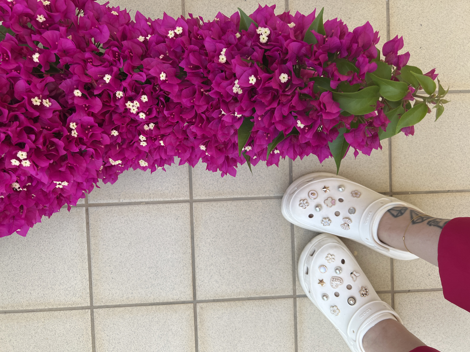 This image depicts a close-up, overhead view of two white Croc shoes adorned with various charms, including pearls, stars, flowers, and bows. One shoe is positioned on the left, the other on the right. The wearer's feet are visible, with one foot showing a delicate gold anklet and a tattoo on the ankle. The shoes are resting on a tiled floor with a light beige or cream color and visible grout lines. To the right of the shoes, a large cluster of vibrant fuchsia bougainvillea flowers with small white centers cascades downwards, with visible green leaves. The scene appears to be outdoors, possibly in a garden or patio area, given the tiled surface and the presence of the plant. The lighting suggests it is daytime. The specific location in Eretria Municipal Unit, Greece, is not discernible from the visual elements in the image alone.