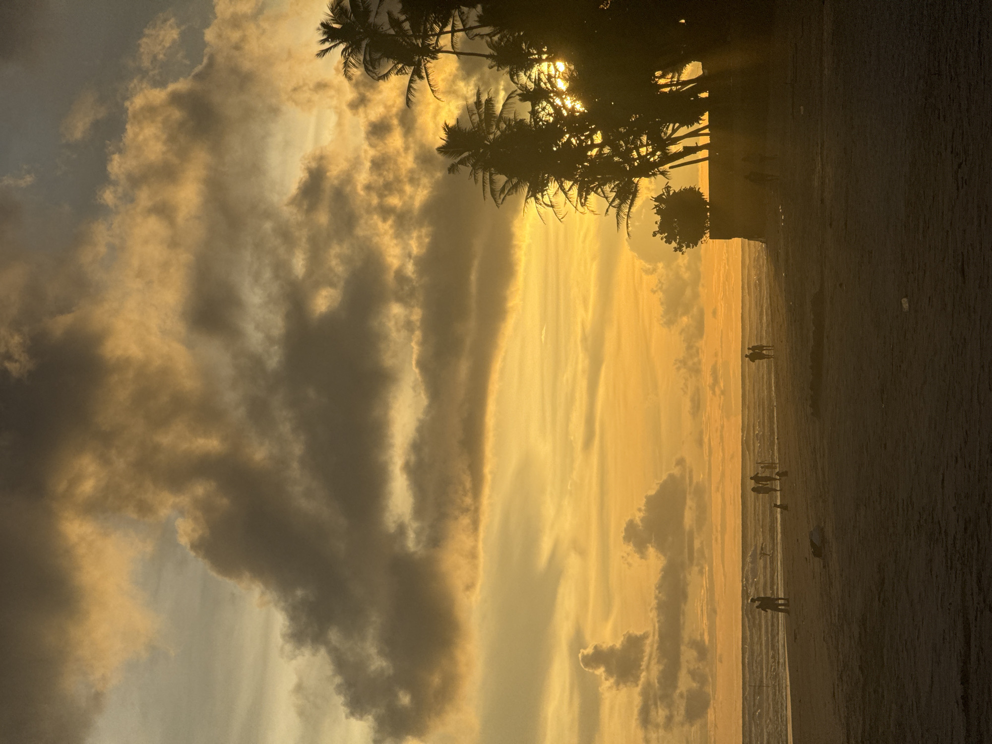 This image captures a serene tropical beach scene at sunset or dusk in Kathaluwa, Sri Lanka. The sky dominates the upper portion of the frame, filled with dramatic, thick clouds painted in striking hues of golden yellow, orange, and soft grey. The intense, setting sun is partially obscured by a dense cluster of silhouetted palm trees positioned on the left side of the image, casting brilliant light that creates sunbursts through the fronds and bathes the clouds in a warm glow.
Below the vibrant sky, the calm ocean meets a wide, sandy beach. The water surface reflects the last golden light of the day with subtle ripples. Several individuals are visible as dark silhouettes scattered along the shoreline, some standing, others walking. Their forms are starkly contrasted against the brighter horizon and the shimmering water, suggesting they are enjoying a leisurely evening stroll or observing the sunset. The sand in the foreground appears dark due to the backlighting.
The time of day is clearly sunset or dusk, indicated by the warm, golden light and the pronounced silhouettes of the palm trees and people. The weather appears partly cloudy, enhancing the dramatic sky. The presence of palm trees and a beach strongly cues a tropical coastal location. The overall atmosphere is one of peaceful tranquility. There is no visible text in the image.