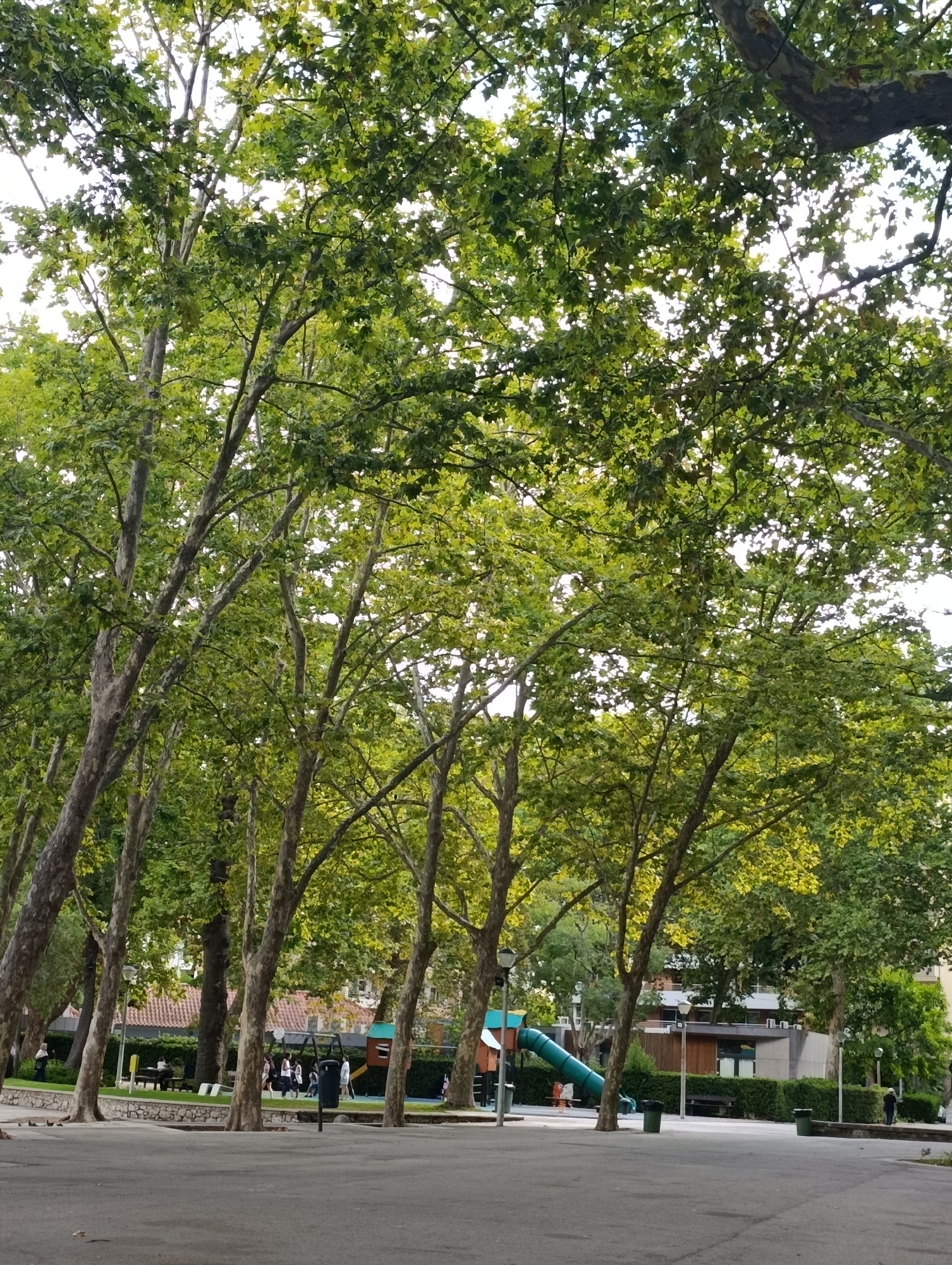 The image captures a shaded park scene, likely in Setúbal, Portugal, with a focus on mature trees and a playground. In the foreground, a paved pathway curves, with several large trees lining the left and right sides, their branches heavily laden with green leaves, creating a dappled light effect. Behind the trees, a children's playground is visible, featuring a green slide, swings, and colorful play structures. A few individuals, including children and adults, are present near the playground, some walking and others standing. Beyond the playground, there are buildings with tiled roofs and modern facades, suggesting a park integrated into an urban or suburban setting. The overall atmosphere is one of a tranquil, recreational space.