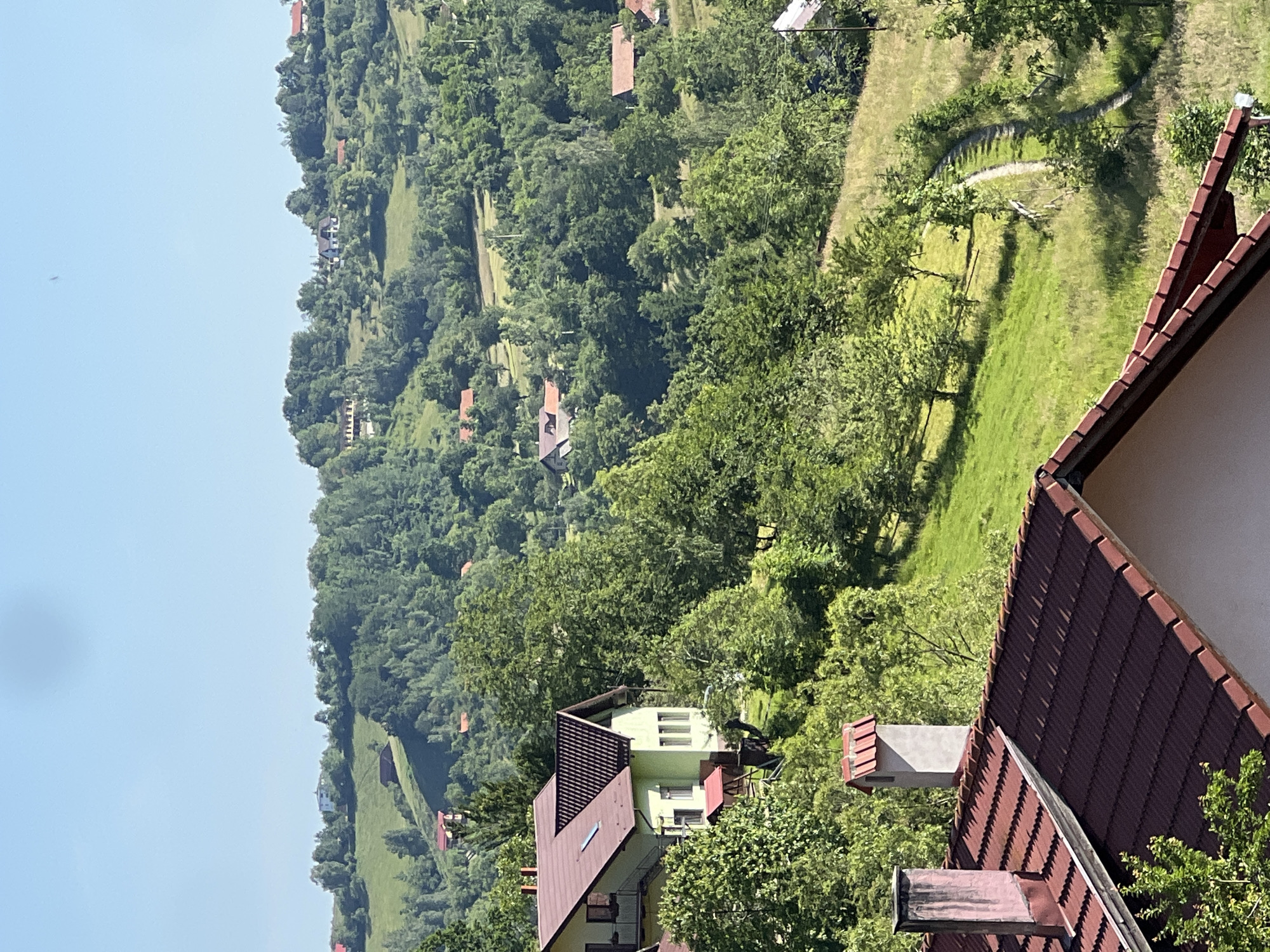 The image shows a rural landscape with rolling green hills covered in trees and scattered houses. The sky is clear and blue. In the foreground, there are parts of two houses with dark red tiled roofs and chimneys. A light green house with a dark red roof is visible to the left, partially obscured by trees. Further in the background, more houses with red roofs are scattered across the hills, nestled among the dense green foliage. A winding dirt path can be seen on the grassy slope to the right. The scene depicts a serene, sunlit day in a countryside setting.