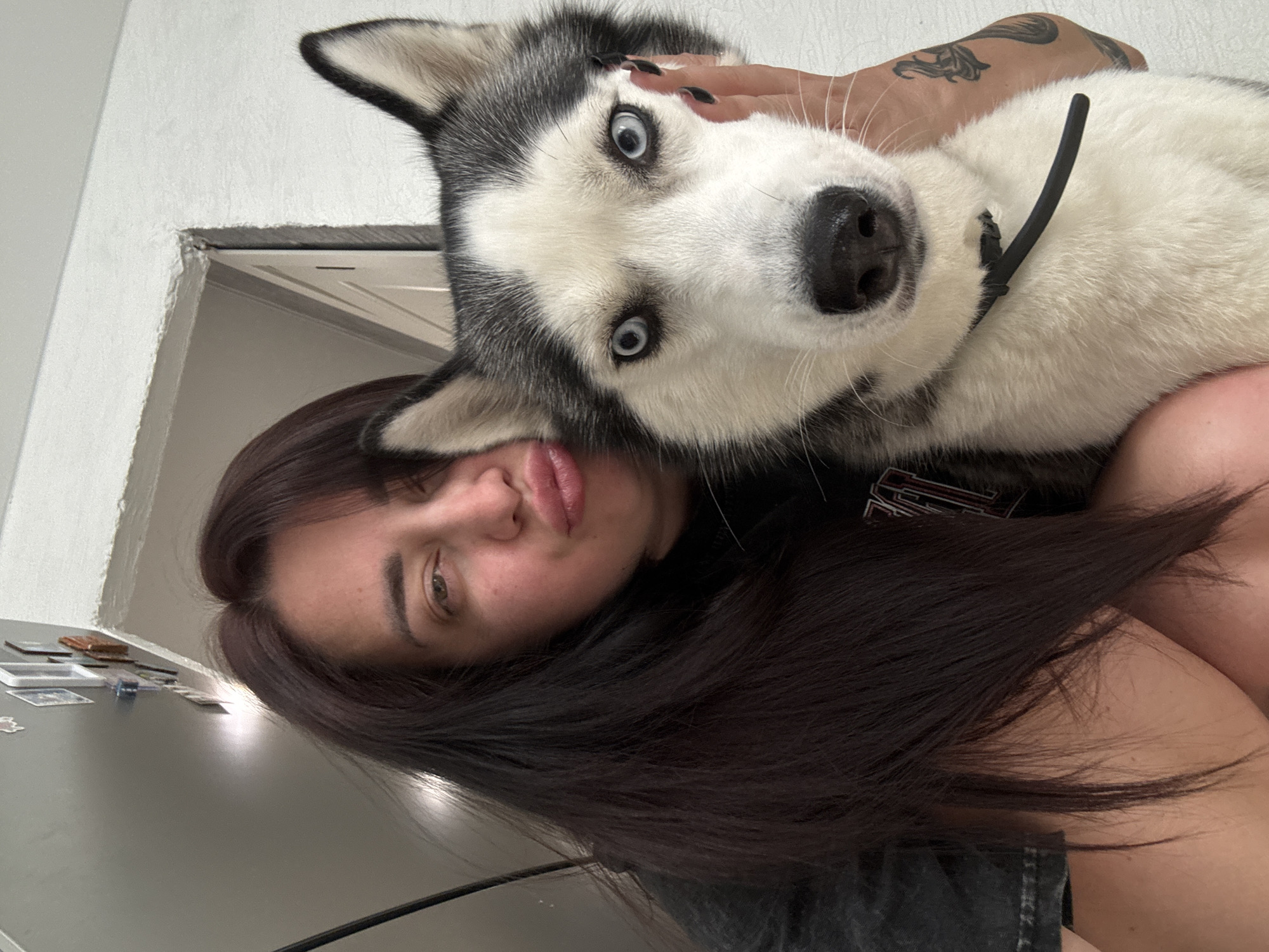 The image is a close-up, portrait-style selfie taken indoors. The primary subjects are a young woman and a husky dog. The woman has long, dark brown hair that falls around her face and shoulders, and she is looking towards the camera with a somewhat relaxed expression. Her skin appears fair, and her lips are slightly parted. A husky dog's head and upper body are positioned prominently in the frame, resting on or near the woman. The dog has striking blue eyes, typical of the breed, and its characteristic grey and white fur is visible. The dog's head is tilted, and one of the woman's hands is gently touching its head.
The background is somewhat out of focus but suggests an indoor environment, possibly a home. To the left, a wall with a textured finish is visible, and what appears to be a doorway or the edge of a room's frame. The overall lighting is soft, indicating it's likely daytime, though no windows or specific time indicators are clear. The image has a personal and intimate feel, capturing a moment between the woman and her pet. The photo is oriented sideways, suggesting it was taken with a phone held horizontally. There are some indistinct objects on a surface in the lower left corner, which could be items on a shelf or table. No text is visible in the image.