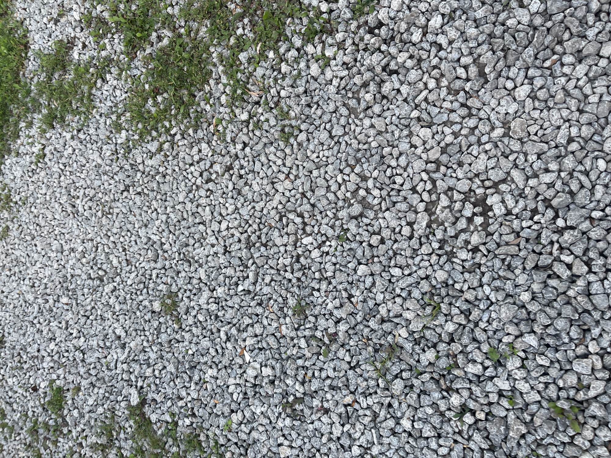 The image shows a close-up, overhead view of a path covered in gravel and interspersed with patches of green grass and weeds. The gravel is composed of small, angular grey stones. Some blades of grass and green leafy weeds are visible poking through the gravel, particularly on the right side of the image, suggesting the path is outdoors and possibly unkempt or a natural area. There are no people or animals present. The lighting suggests it is daytime. The specific location within the city of Blagoveshchensk, Russia, cannot be determined from the visual information provided.