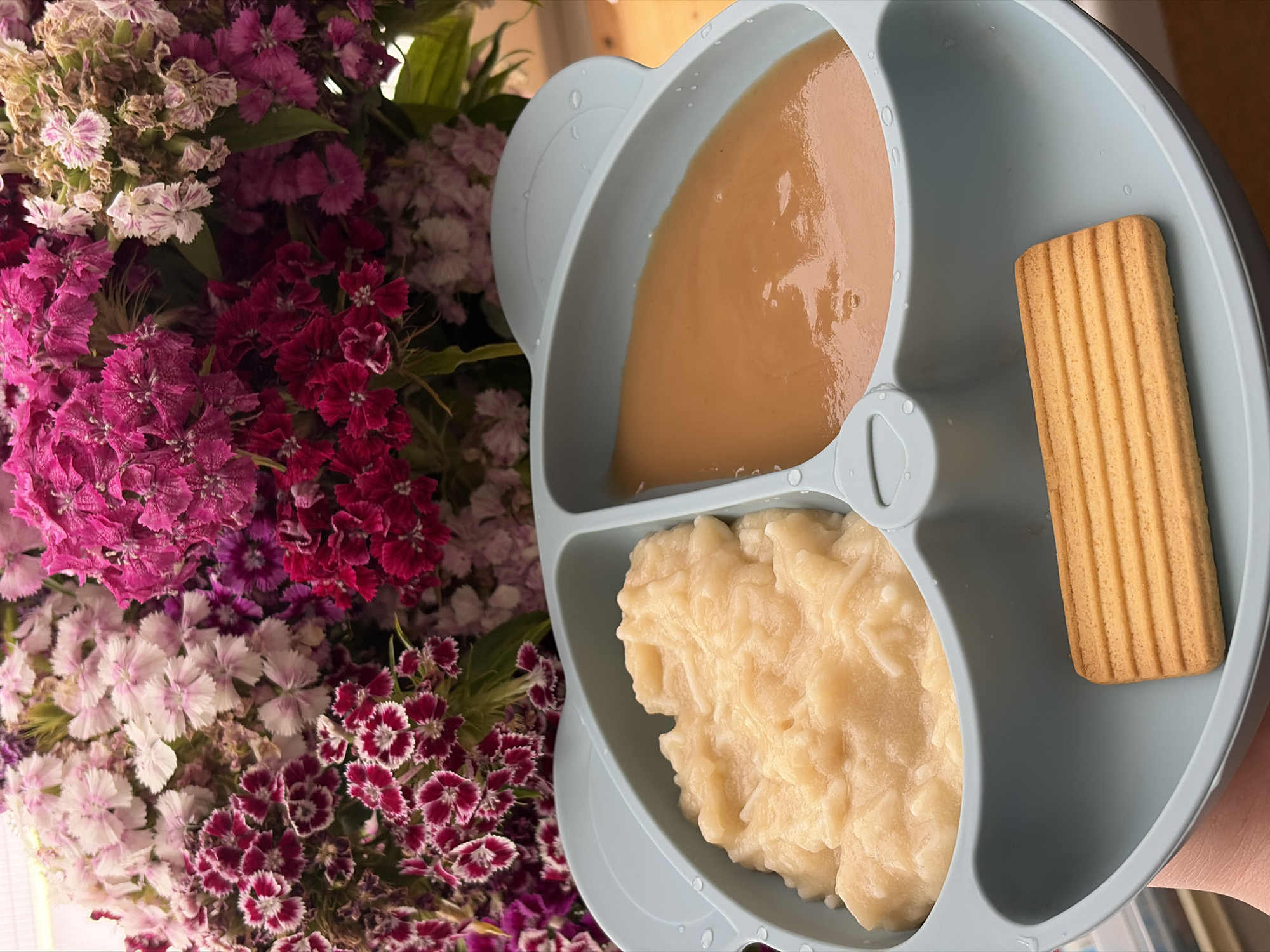 A close-up, top-down view shows a pale blue, divided baby plate filled with food and a biscuit. The left compartment holds a pale yellow, textured porridge. The right compartment contains a smooth, tan-colored puree. A rectangular, ridged biscuit rests in the lower section of the plate. In the background, a vibrant bouquet of pink and purple carnations is visible. The setting is unknown.