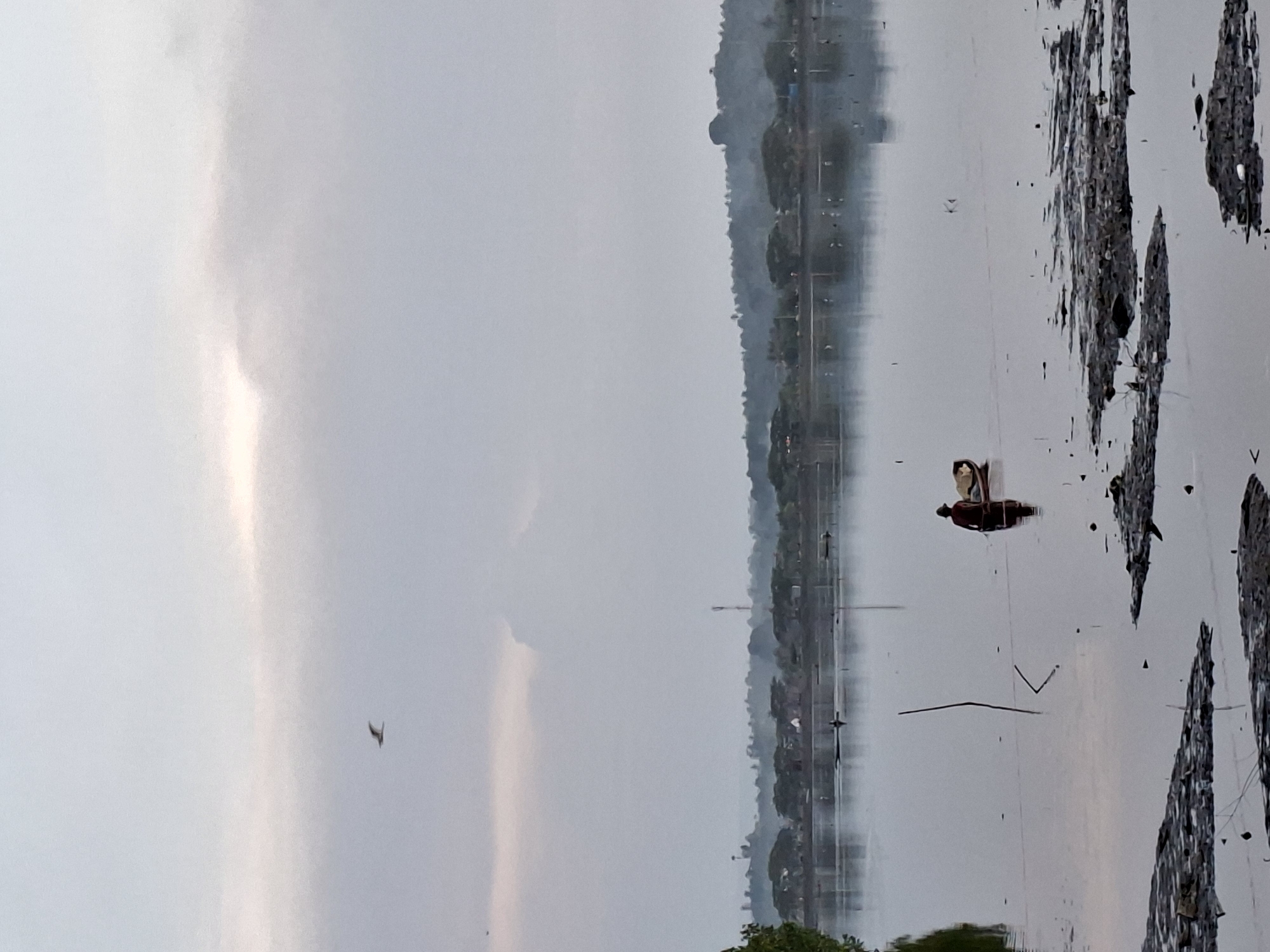 The image shows a body of water in Lhokseumawe, Indonesia. In the water, a person is visible on a small vessel. The surrounding environment includes trees and what appears to be a shoreline covered with debris or natural elements such as mud or rocks. In the background, there is a line of vegetation or trees along the edge of the water. The sky is overcast, giving the overall scene a subdued and gray tone. A bird flies high above.