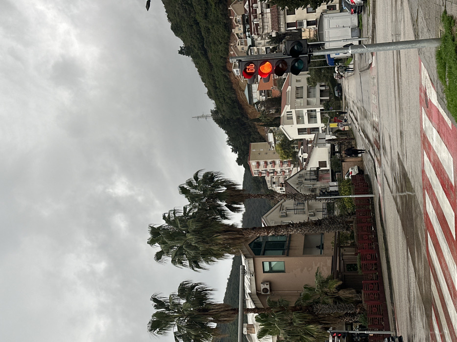 The image displays an urban street scene in Budva, Montenegro, under an overcast sky with wet asphalt, indicative of recent rain. In the immediate foreground, a red and white striped pedestrian crossing is marked on the street surface. To the right, a gray metal pole supports a vertical traffic light assembly; its top signal is illuminated red, and a digital display above it shows the number "66".
On the right side of the street, several pedestrians are visible walking on the sidewalk, moving away from the viewer. One individual in the mid-ground holds what appears to be an open umbrella. Parked vehicles line both sides of the street further down the road, which curves slightly rightward as it recedes.
The left side of the scene is dominated by several tall palm trees with green fronds. Behind a low, red decorative fence, a multi-story residential building with light-colored walls, green-tinted windows, and an external air conditioning unit is visible. Numerous other multi-story residential buildings of varying architectural styles and colors, including white, beige, and pinkish hues, are situated along the street and ascend a steep, verdant hillside in the background. An electrical transmission tower is identifiable on the upper slope of this hillside. The sky above is entirely covered by uniform gray clouds.