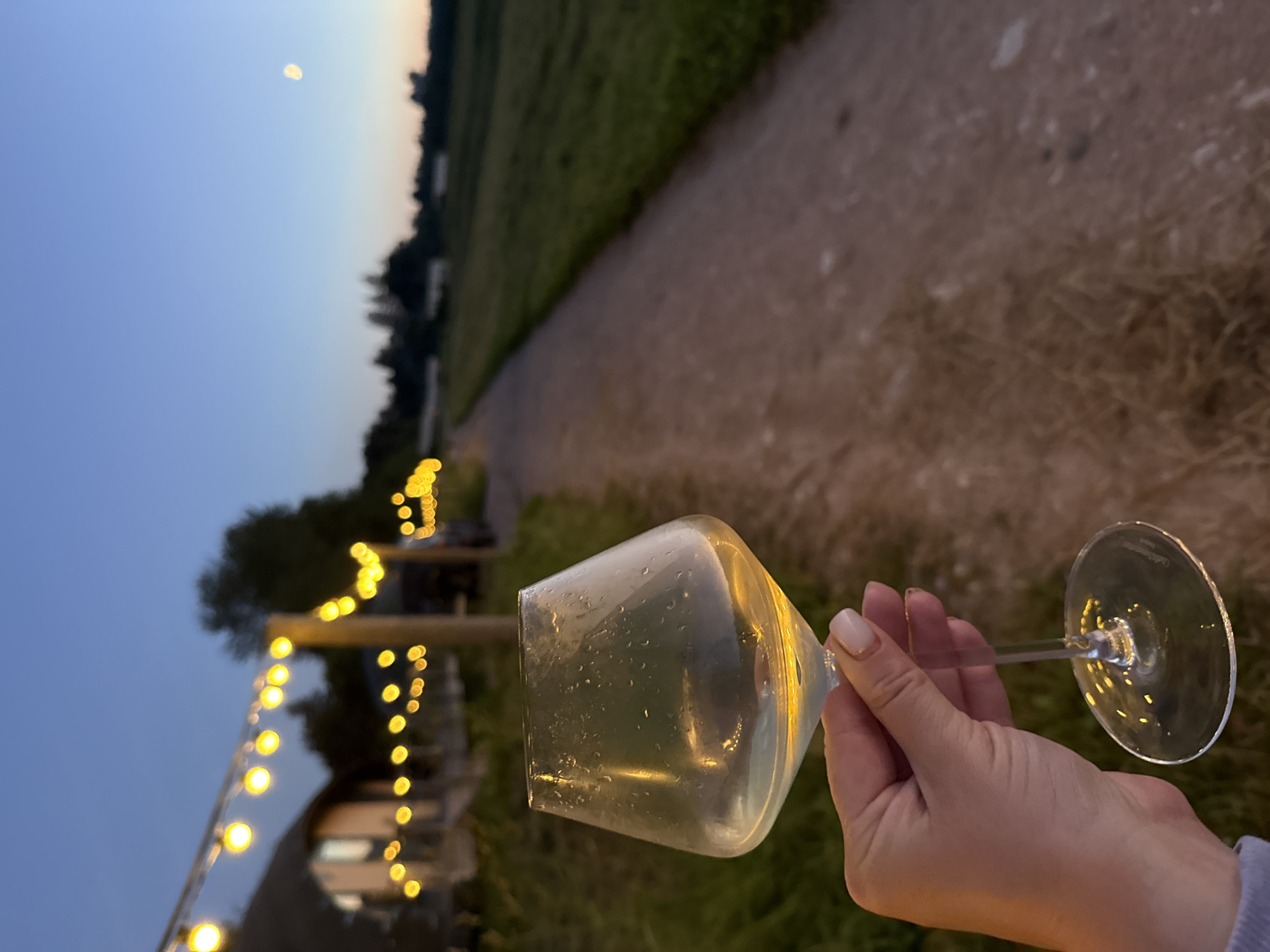 The image shows a hand holding a wine glass filled with a light-colored liquid, likely white wine, outside at dusk. The glass has condensation on its exterior. In the background, there is a pathway or dirt road, with a field of grass to the right. String lights with yellow bulbs are visible, illuminating a building or structure on the left side of the pathway. The sky is a deep blue, transitioning to lighter hues near the horizon, with a faint moon visible in the upper right portion of the frame. The overall scene suggests an outdoor gathering or a relaxing evening in a rural or semi-rural setting. The location is identified as Zamosh'e (Zaklinskoe S/P), Russia.