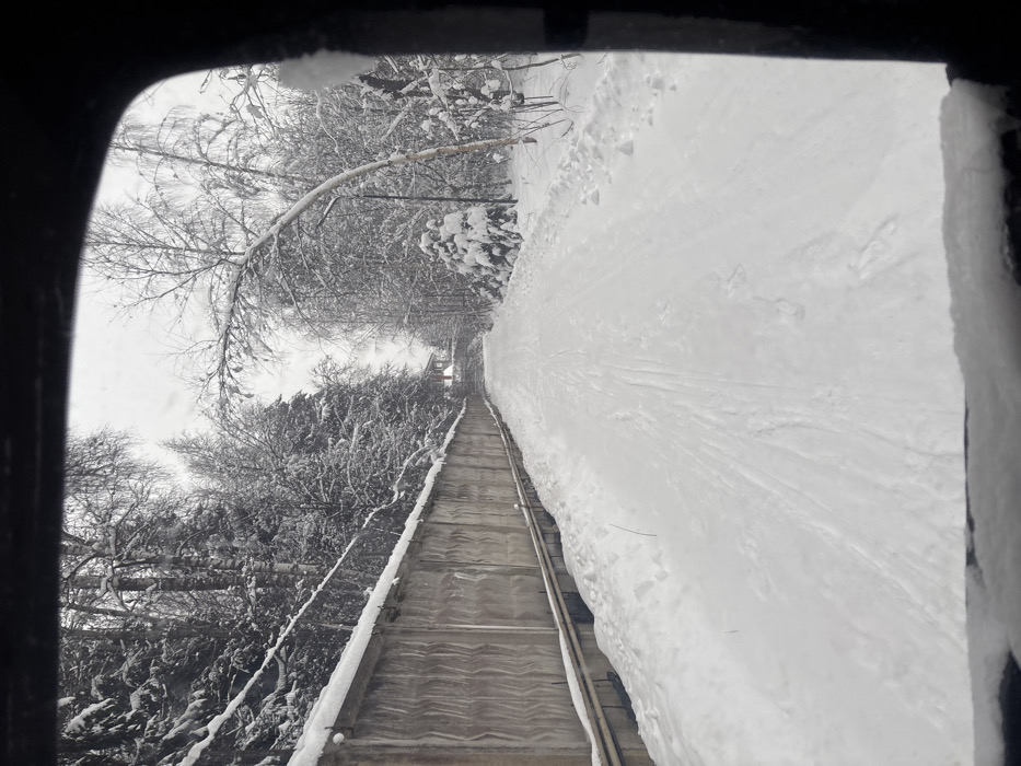 The image, framed through a dark border likely from a vehicle window with snow on its bottom edge, depicts a snow-covered unpaved path extending into the distance in Nakhabino, Russia. The path shows visible tracks from traversing. Along the left side of the path, a long, grey concrete fence with vertical corrugated panels is visible, topped with a layer of snow. A metal pipe runs horizontally along the base of this fence. Behind the fence and lining the right side of the path is a dense forest of snow-covered trees, including numerous deciduous trees, notably a prominent birch tree with bare branches arching over the path from the right, and scattered coniferous trees. In the far background, at the end of the path, a building with a reddish-brown roof and light-colored walls is partially visible amidst the trees. The sky is overcast. No individuals, animals, or active subjects are present.