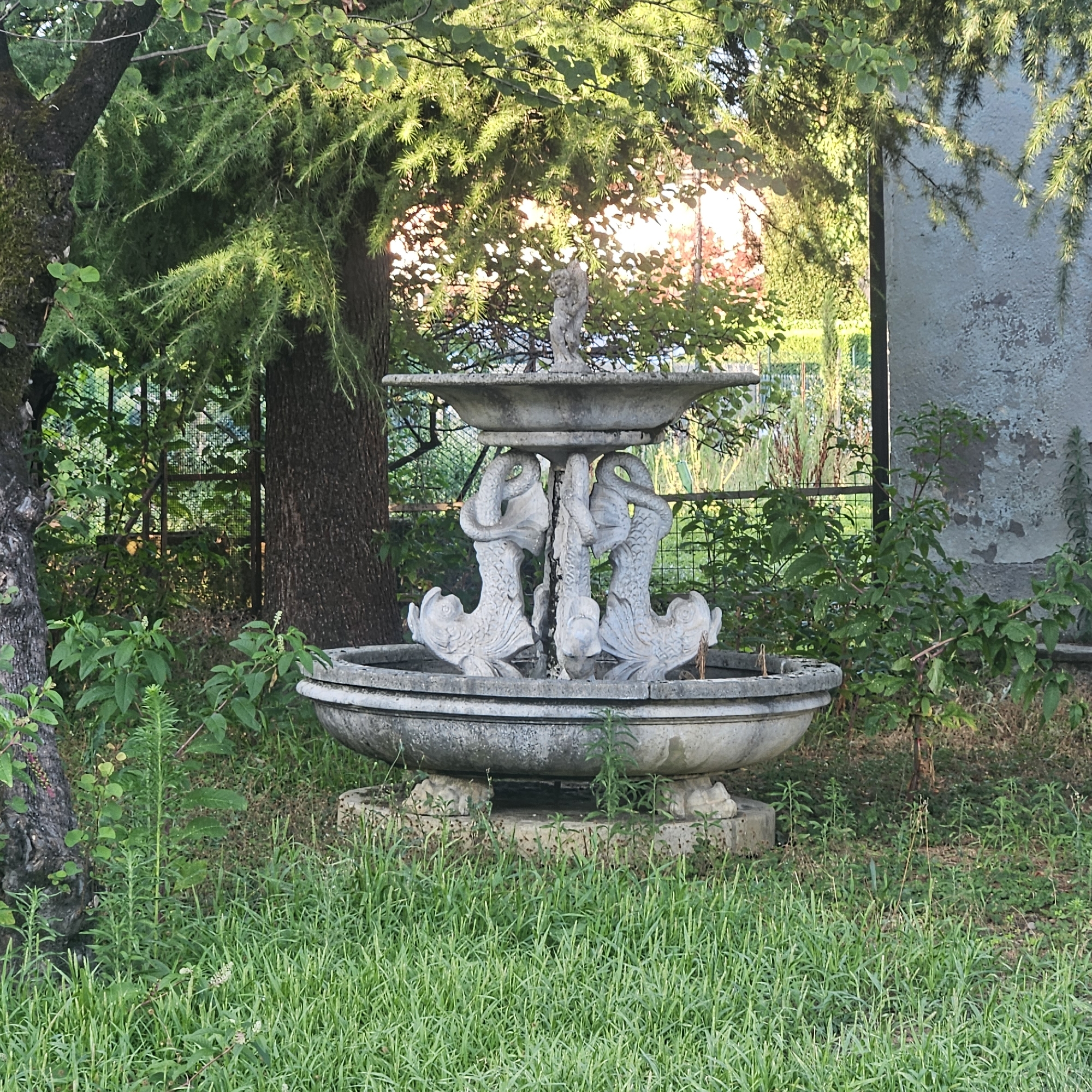 This media file captures a three-tiered stone fountain situated in a garden setting. The fountain is ornately designed, featuring a small figurine at the very top and elaborately carved figures of fish and possibly serpents supporting the middle tier. The stone appears weathered, indicating age.
The fountain is surrounded by lush greenery, including tall grass and leafy plants. In the background, there are trees with dense foliage, one of which has a dark, textured trunk. Beyond the trees, a weathered, textured wall of a building is visible on the right side of the frame. A metal fence is also present in the background, suggesting a boundary to the garden or property. The sunlight filtering through the trees indicates it is likely late afternoon or early morning. The overall scene evokes a sense of tranquility and a slightly overgrown, perhaps historic, garden. There is no visible text in the image. The location context provided is Calcinate, Italy.