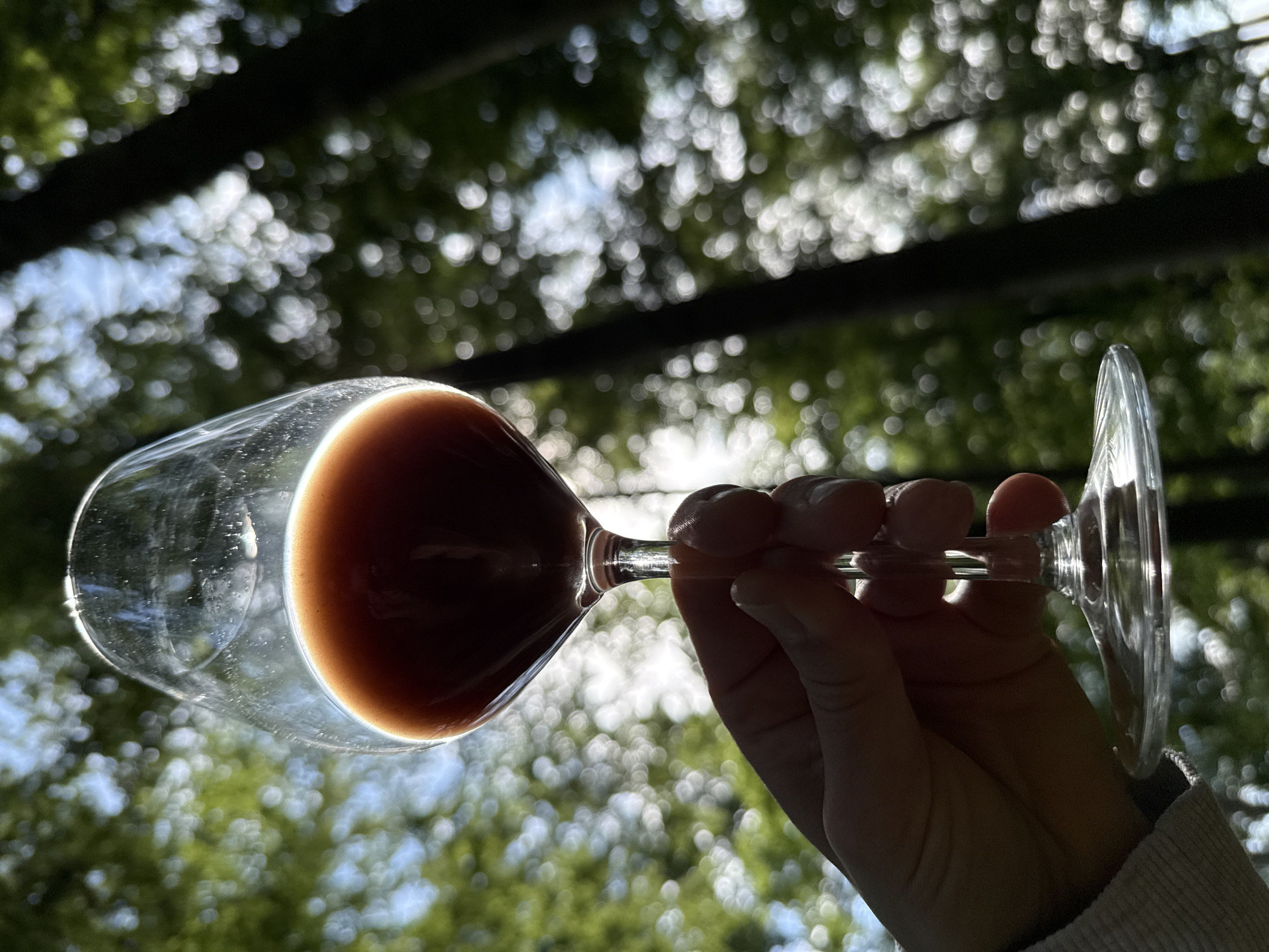 A hand holds a wine glass filled with a dark red liquid up towards a blurred background of green trees and bright sky. The glass is transparent with a thin stem and a wide bowl. Sunlight illuminates the liquid, creating a bright halo at the top of the glass. The hand is silhouetted, with only the suggestion of fingers and a thumb visible. The background is out of focus, with bokeh effects creating circular patterns of light and shadow. The scene appears to be outdoors, possibly in a park or forest, given the prevalence of trees. The specific location in Bad Sachsa, Germany is not visually determinable from the provided image.