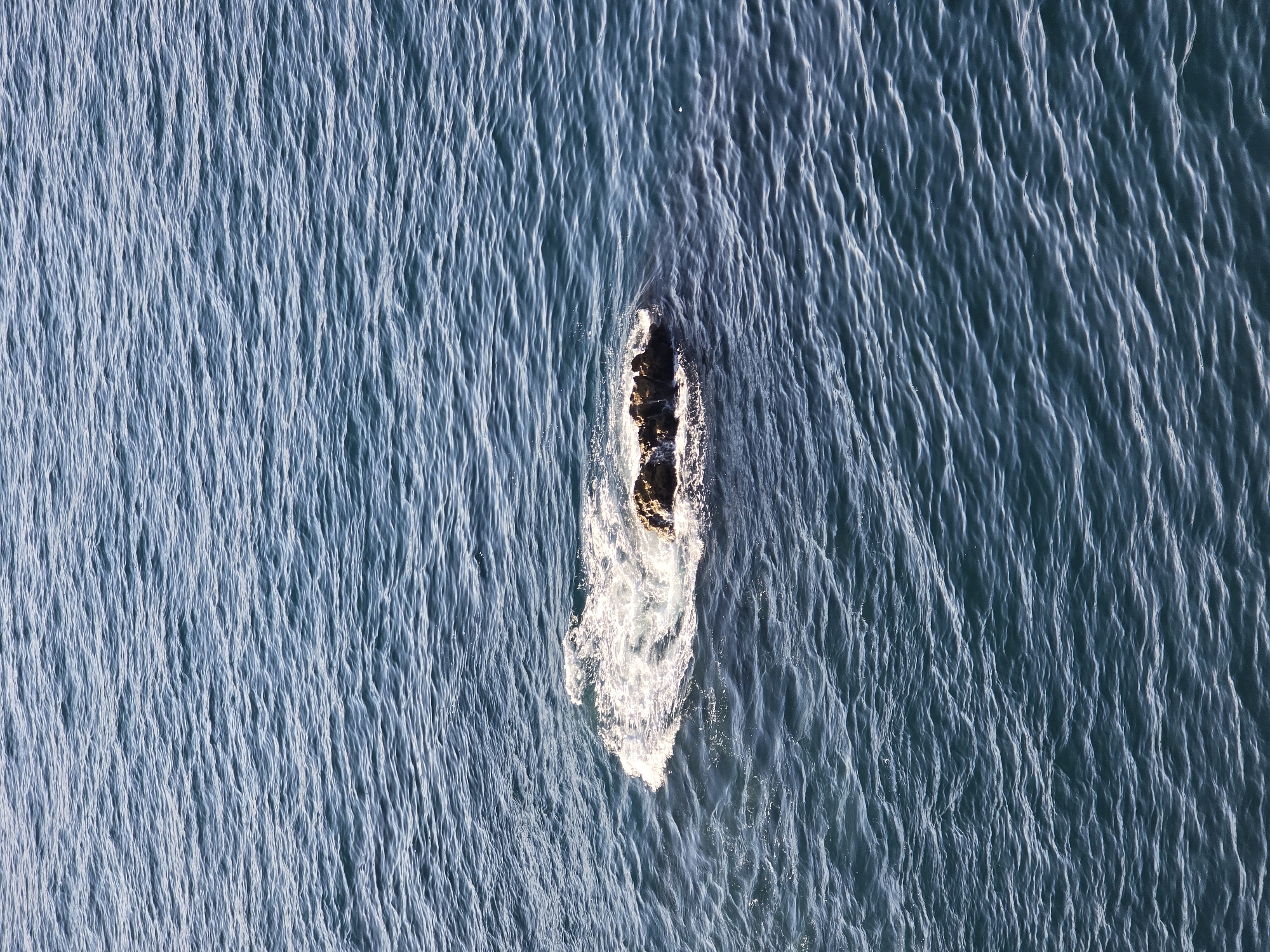A single rock formation emerges from the deep blue, rippling sea. The rock is partially submerged, with white foam and spray crashing against its sides, indicating the movement of the water. The sea surface is textured with numerous small waves, creating patterns of light and shadow across the expanse. The scene is devoid of human presence. This view likely captures a section of the coast near Sozopol, Bulgaria, where such rocky outcrops are common features of the seascape.