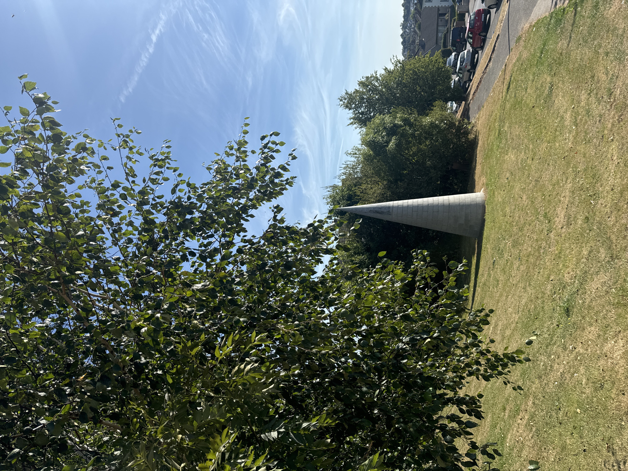 The image depicts a cone-shaped concrete structure standing on a grassy slope. The structure is light grey and appears to be made of stacked cylindrical sections. To the left of the structure, a large tree with green leaves partially obscures the view. Behind the structure, a line of trees forms a dense background, and beyond that, houses and a road with several parked cars are visible. The sky is blue with wispy white clouds. The scene appears to be outdoors on a sunny day. The context provided indicates that the location is the city of Waterford, Ireland. The concrete structure is likely a monument or an architectural feature.