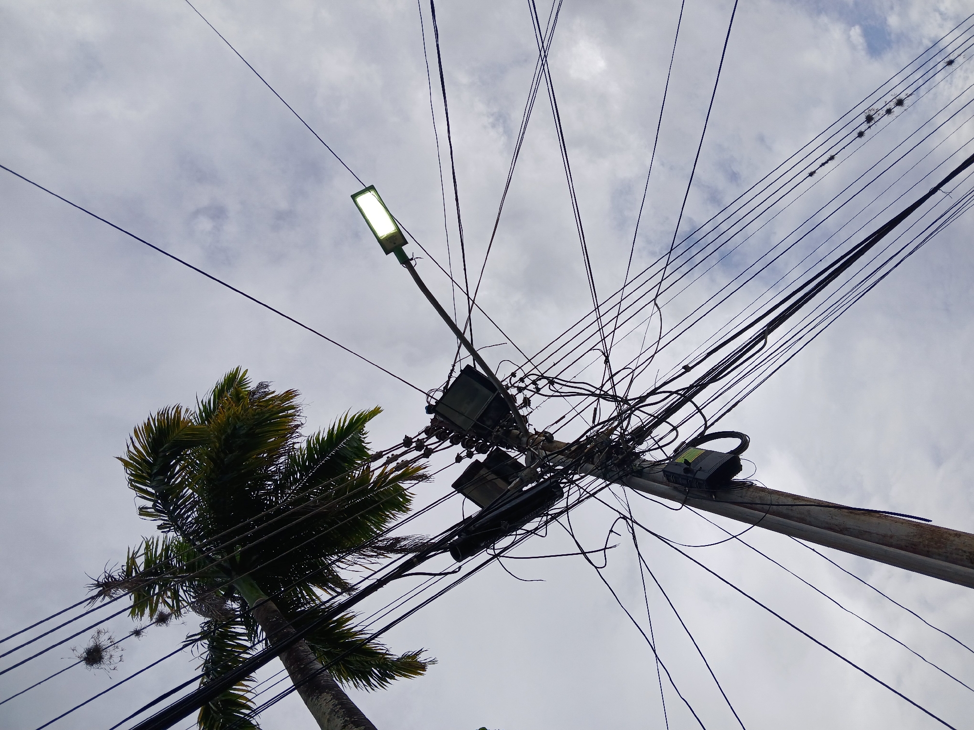 The image, taken from a low angle, features a utility pole overloaded with electrical wires in Ciudad Guayana, Venezuela. The sky is overcast with a cloudy sky visible in the background. A modern LED street lamp extends horizontally from the pole. The pole is old and shows signs of wear. A small palm tree is visible adjacent to the pole, with its fronds intertwined with the power lines. Clusters of small, dandelion-like seed heads are caught on some of the wires near the tree.