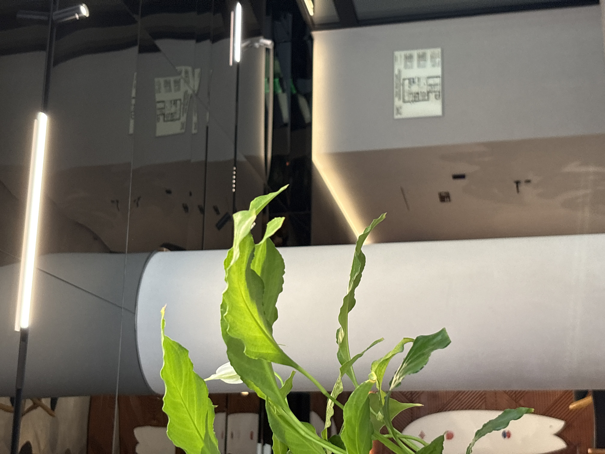 The image shows a close-up view of a large, white, cylindrical pillar in an indoor setting. A lush green plant with broad leaves and a white flower is in the foreground, partially obscuring the pillar. The pillar is lit by a long, horizontal fluorescent light fixture mounted on the ceiling above. The ceiling itself appears to be made of a dark, reflective material, showing a distorted reflection of the room, including another light fixture and a white sign with text and a diagram. In the background, another gray wall is visible with a white sign mounted on it, also displaying text and a diagram. The overall environment suggests a modern, possibly public or commercial space, such as a lobby or an office building. There are no people visible in the image.