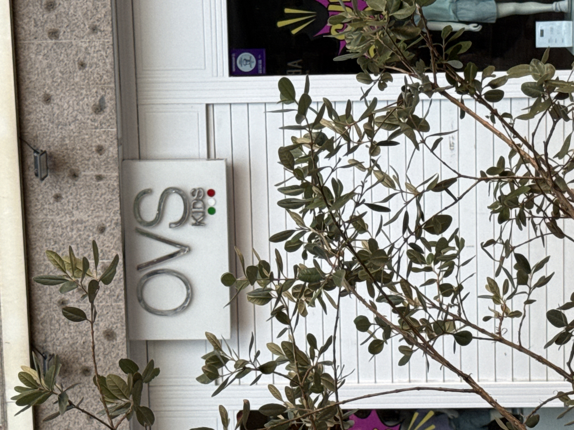 The image shows the facade of an OVS Kids clothing store in Blanes, Spain. In the foreground, a tree with green and brown leaves partially obscures the storefront. The store sign, "OVS KIDS," is visible above a white, horizontally paneled entrance. Below the text, there are three colored circles, representing the Italian flag (green, white, and red). To the right, a darkened window display reveals a mannequin dressed in a light blue outfit. The building exterior features a textured stone facade above the sign and a modern light fixture. The overall scene suggests an outdoor commercial setting on a bright day.