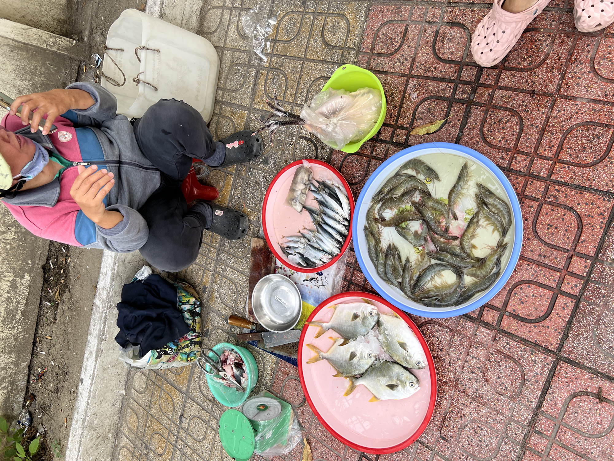 The image depicts a street vendor in Nha Trang, Vietnam, selling fresh seafood. The vendor, wearing a pink and gray jacket, dark pants, and a light-colored hat, is crouched on a red stool and speaking on a mobile phone. Various seafood items are laid out on the tiled sidewalk. In a pink plastic basin, four medium-sized fish with golden fins are displayed on ice. Adjacent to this, a red-rimmed pink plastic basin holds a collection of small silver fish. Another larger blue and white basin contains a generous portion of shrimp. To the right, a green bowl holds a whole chicken, its feet protruding from a plastic bag. Near the chicken, a small plastic bag contains squid.
Other items visible include a green weighing scale, a green plastic bowl with scissors and fish heads, a knife, and a small metal bowl. A large white plastic basket is positioned behind the vendor, and a colorful patterned bag filled with black clothing sits to the left. The ground is paved with red and brown square tiles, and a concrete curb runs along the background. Discarded cigarette butts are scattered on the ground near the curb. The overall scene suggests a typical street market setting in Vietnam.