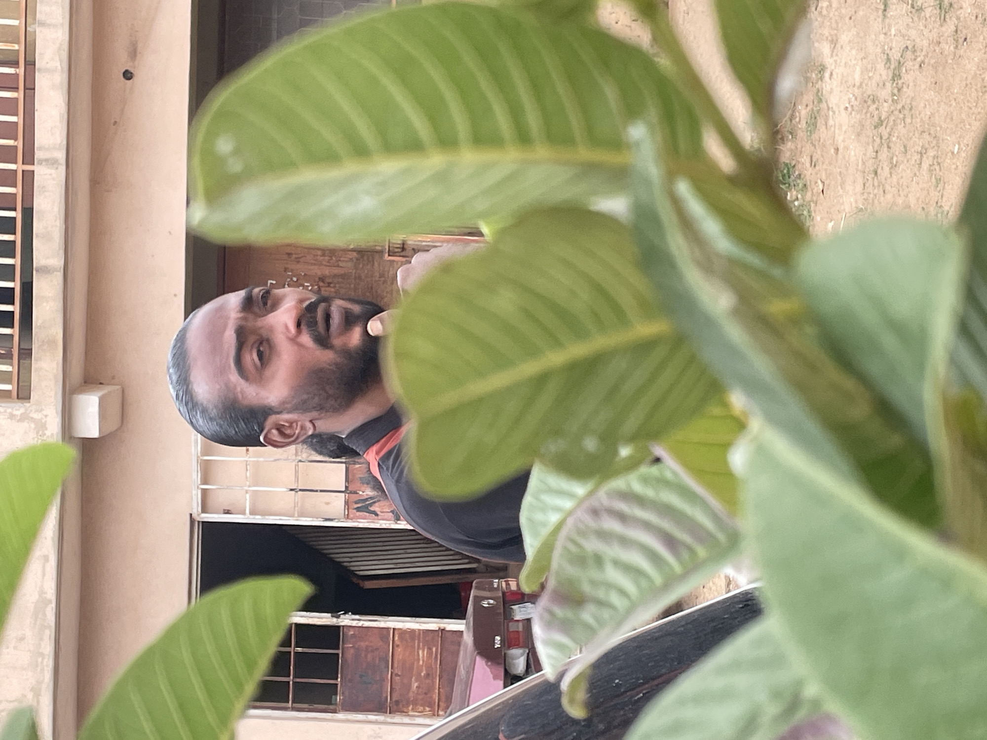 A man with dark hair pulled back into a ponytail, a beard, and wearing a black and orange shirt is partially visible behind a large-leafed green plant. He is looking towards the camera. The background includes a tan building with barred windows and a dark garage-like opening. A red pickup truck is partially visible, parked in front of the building. Based on prior knowledge, the location is consistent with Jos, Nigeria.