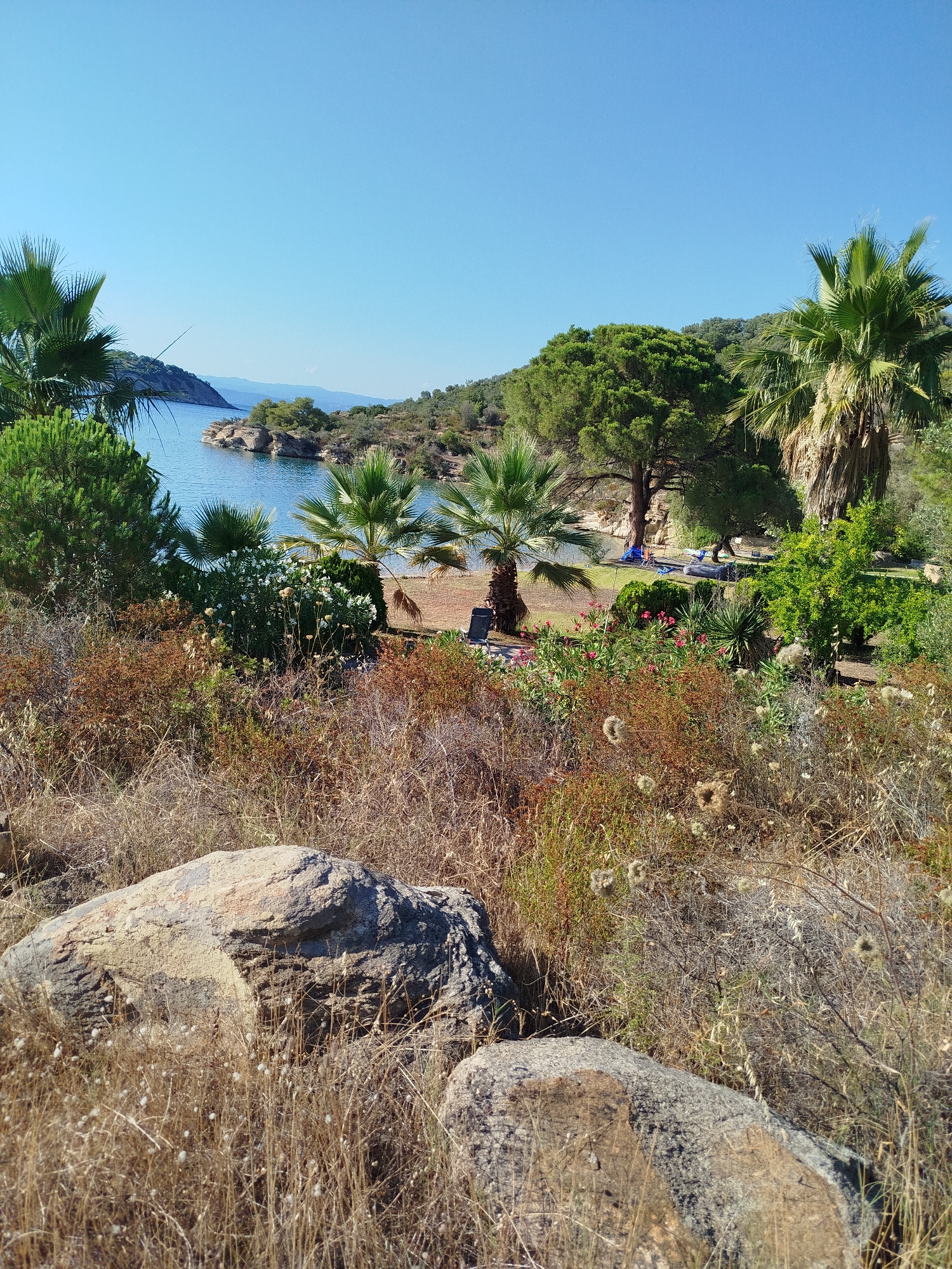 This image depicts a scenic coastal landscape in Sithonia Municipal Unit, Greece. In the foreground, dry grasses and rocks dominate the scene, with two large boulders visible. Behind the foreground, a garden area features a variety of plants, including palm trees, bushes with white flowers, and red flowering plants. Beyond the garden, a tranquil blue body of water is visible, with a small rocky island and a tree-covered hill in the distance. The sky is clear and blue, indicating a sunny day. There are no people or animals visible in the image. The overall impression is one of a peaceful, natural environment with a touch of cultivated garden beauty.