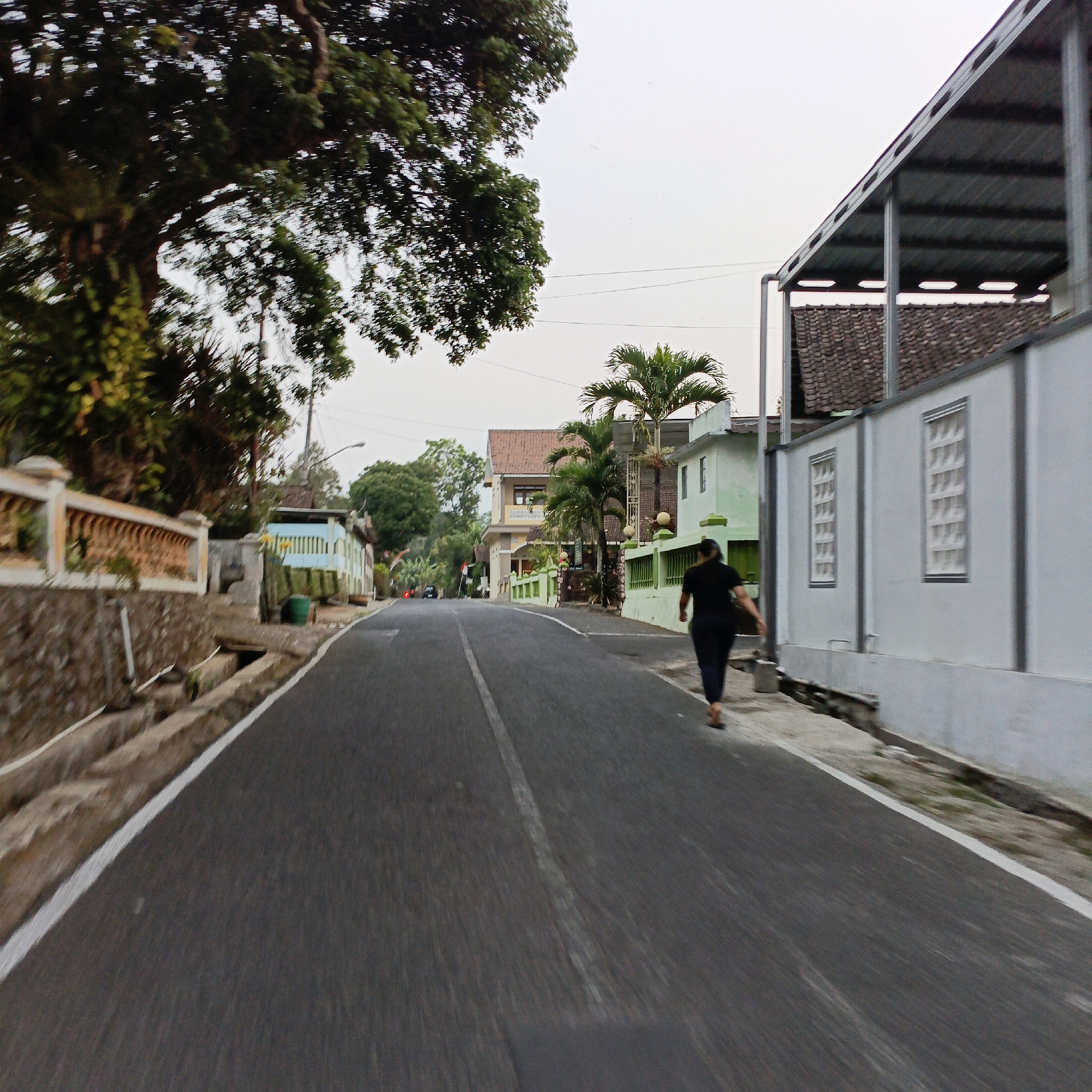 The image depicts a street scene in Salatiga, Indonesia, with a person walking away from the camera on the right side of the road. The individual is wearing dark clothing, including a black t-shirt and dark pants, and appears to be walking on the sidewalk or the edge of the road. The road itself is paved and has a white line dividing the lanes. The environment includes residential buildings on both sides of the street. On the left, there is a stone wall with a decorative railing and vegetation. On the right, a white building with a grey metal roof structure is visible, and further down the street, there are more houses, some with green fences and palm trees. The sky is overcast, suggesting it may be early morning or late afternoon. There are power lines visible in the background, and a few cars and motorbikes can be seen further down the road, indicating moderate traffic. The overall impression is a quiet residential street in a town or city.