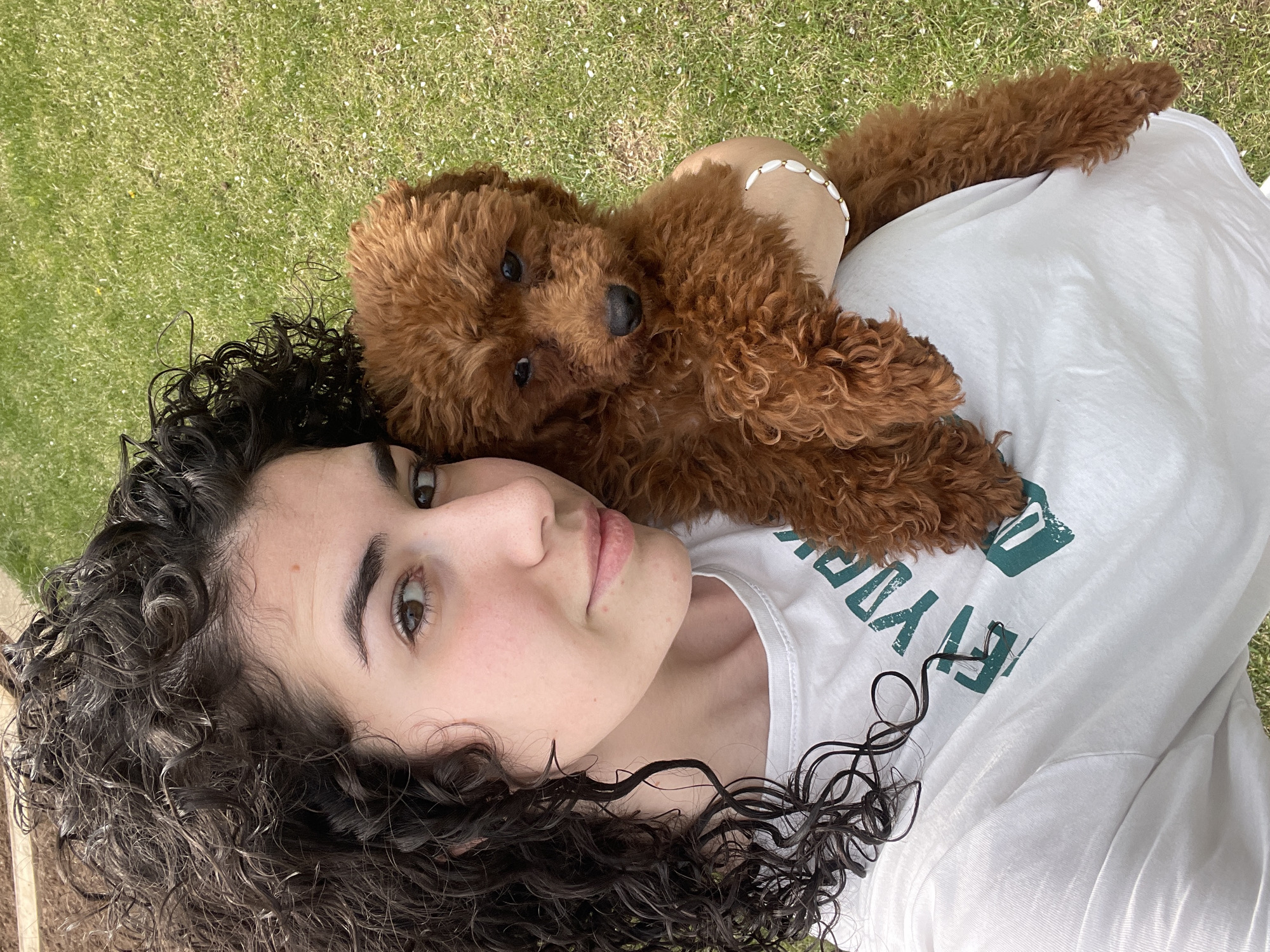 This image depicts a tranquil outdoor scene featuring a person and a small dog, presumably in Sofia, Bulgaria. The subjects are positioned on a vibrant green lawn under bright natural daylight, suggesting pleasant weather for relaxation.
A young individual, possibly female, with a fair complexion, dark brown eyes, and distinctively dark, curly hair, is lying on their back. They gaze calmly towards the camera. The person is wearing a white t-shirt that features green, stylized text. Visible portions of the text clearly show "YORK" and partially "UNI", hinting at a university or geographical reference. A light-colored, beaded bracelet adorns their right wrist.
Cuddled closely on the person's chest and shoulder is a small, reddish-brown dog, likely a poodle or a doodle, distinguished by its thick, curly fur. The dog also looks towards the camera with dark, expressive eyes, conveying an alert and affectionate demeanor.
The overall mood of the image is one of warmth, companionship, and relaxed enjoyment of the outdoors. The soft interaction between the person and the dog is the central focus, set against the natural backdrop of the green grass.